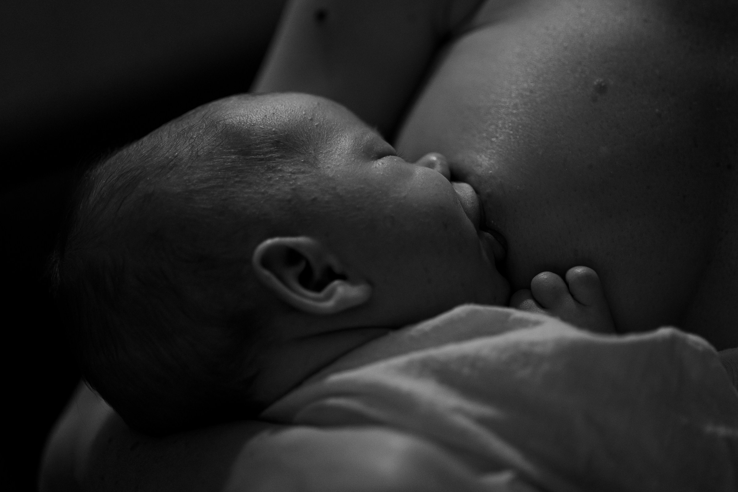 Месяц Александре. Фотограф Москва