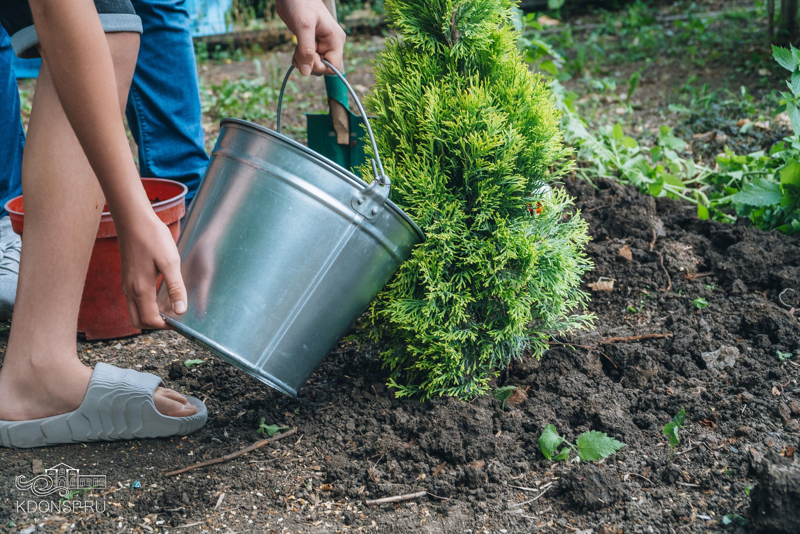 «Сад Памяти». Новотитаровский Дом культуры