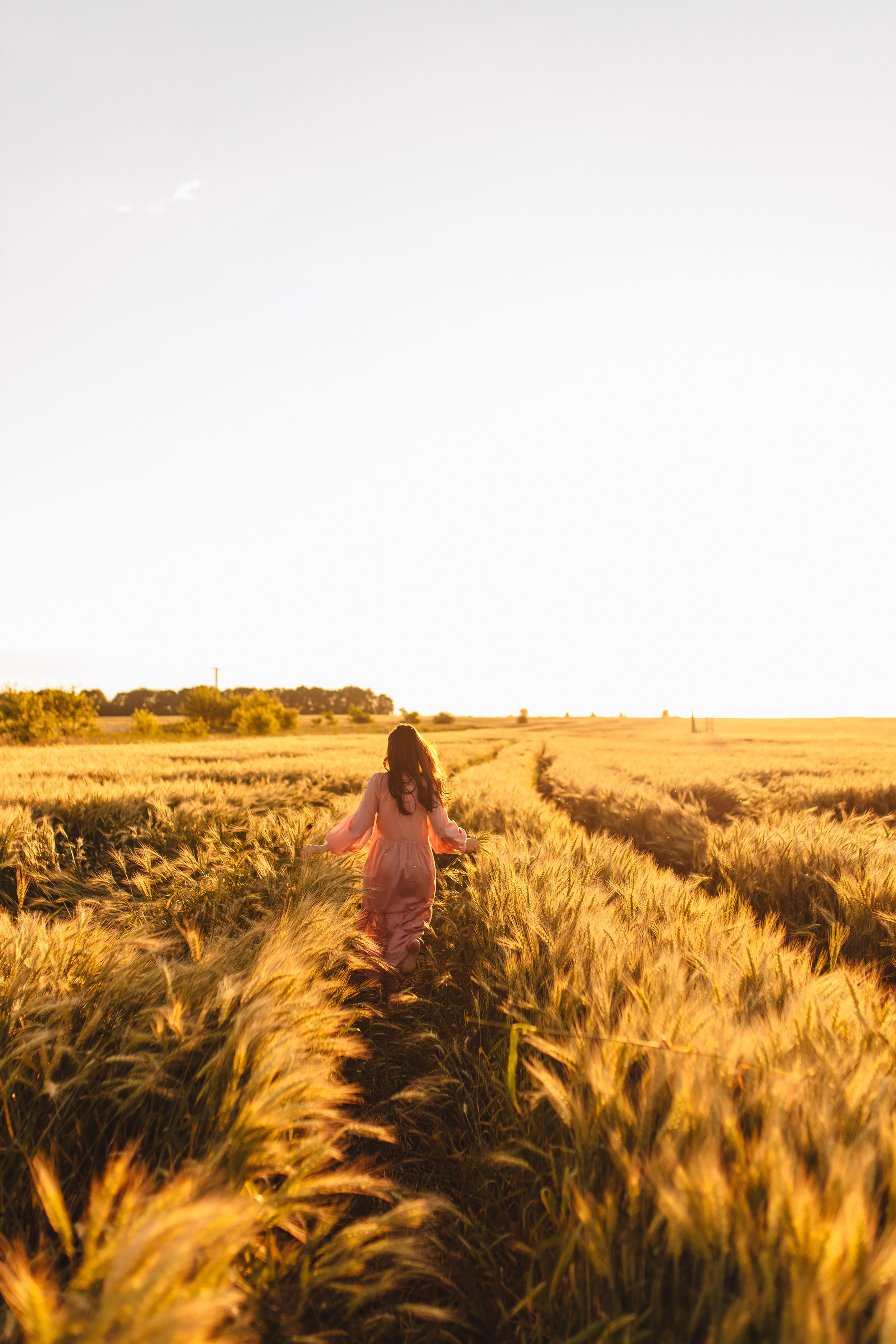 Закатное поле. Свадебный и семейный фотограф в Туле и области Маша Костина