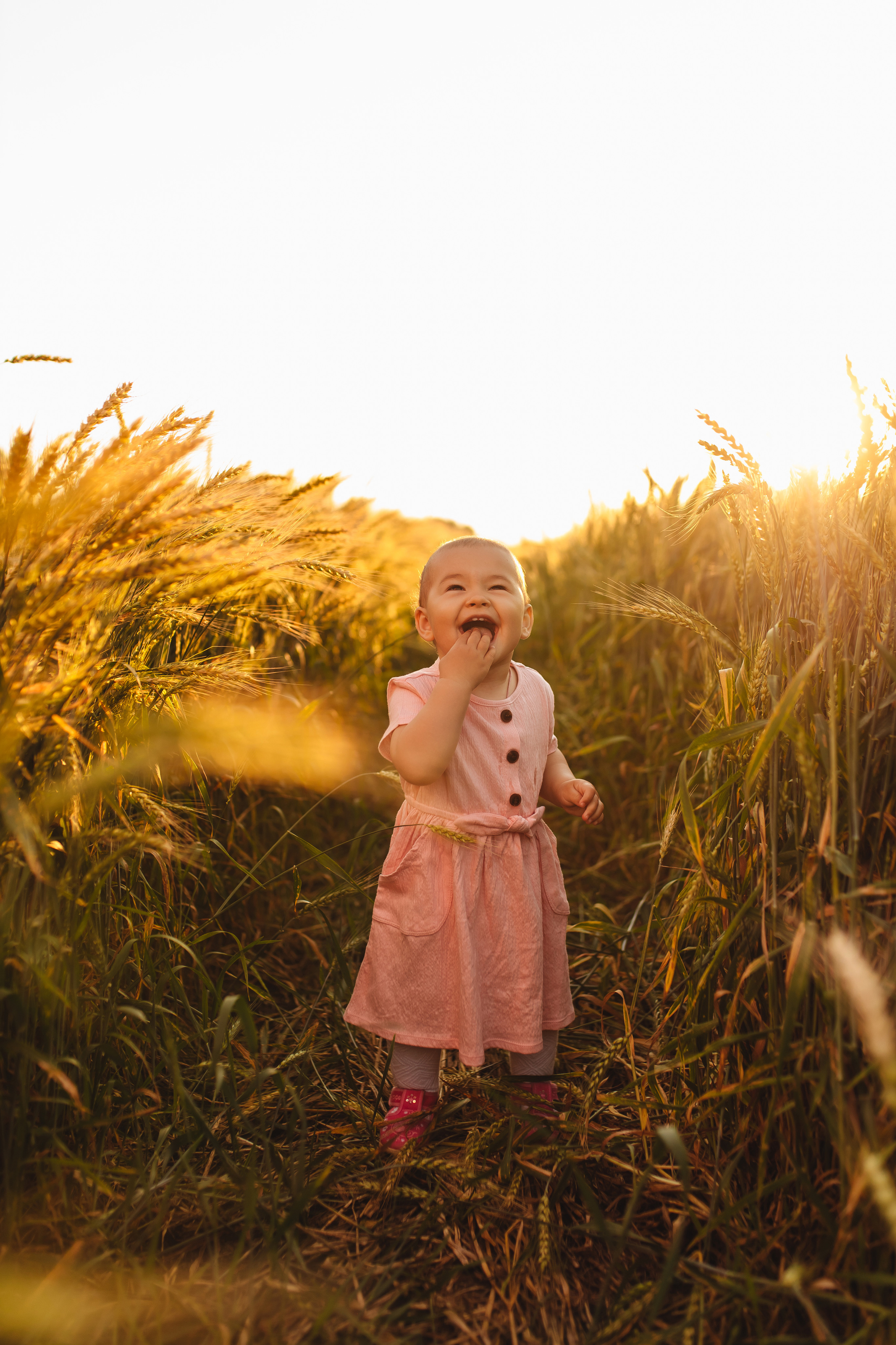 Закатное поле. Свадебный и семейный фотограф в Туле и области Маша Костина
