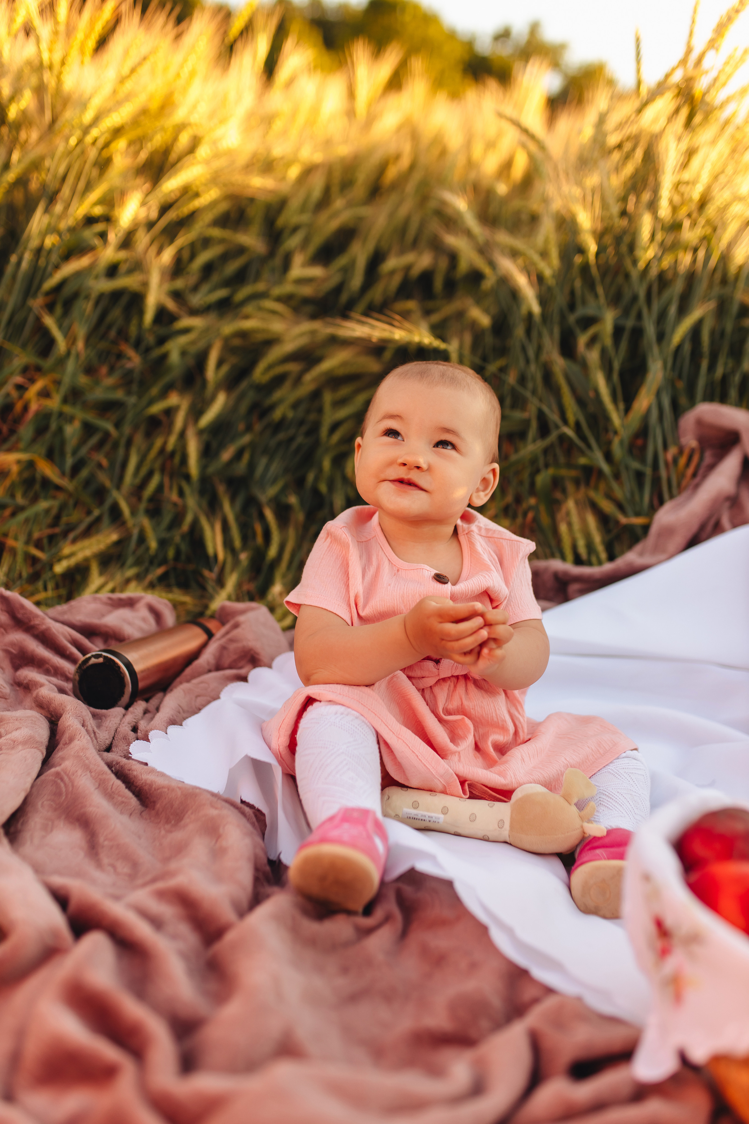 Закатное поле. Свадебный и семейный фотограф в Туле и области Маша Костина