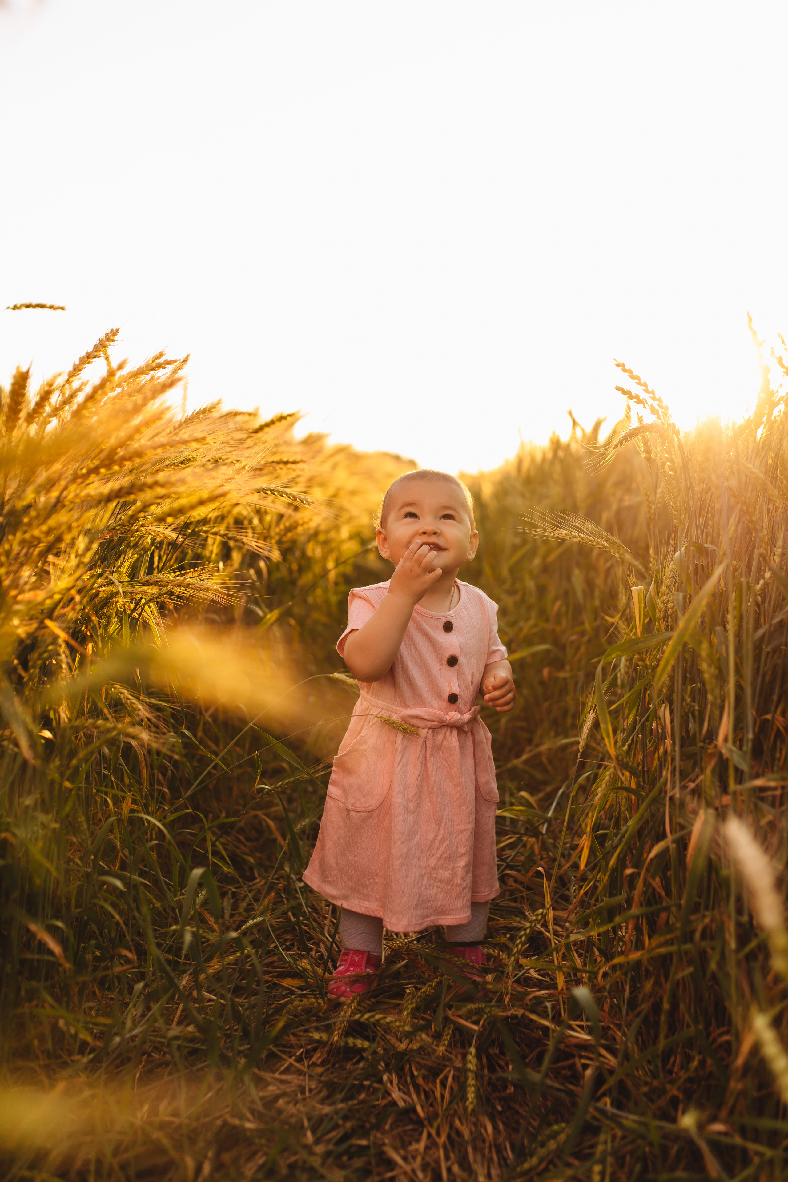 Закатное поле. Свадебный и семейный фотограф в Туле и области Маша Костина