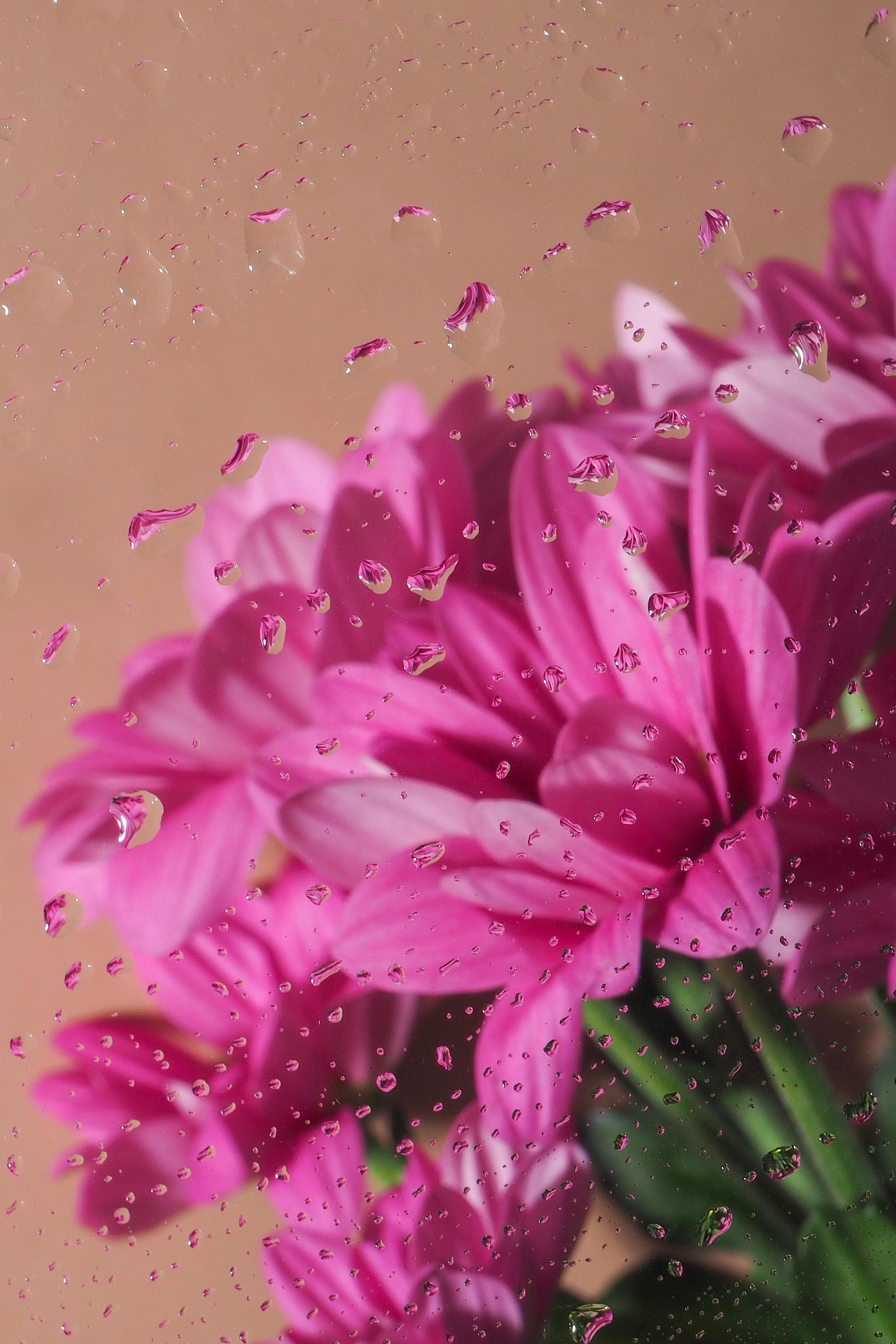 Цветы под дождем. Портретный фотограф в Петербурге Рейн Раше