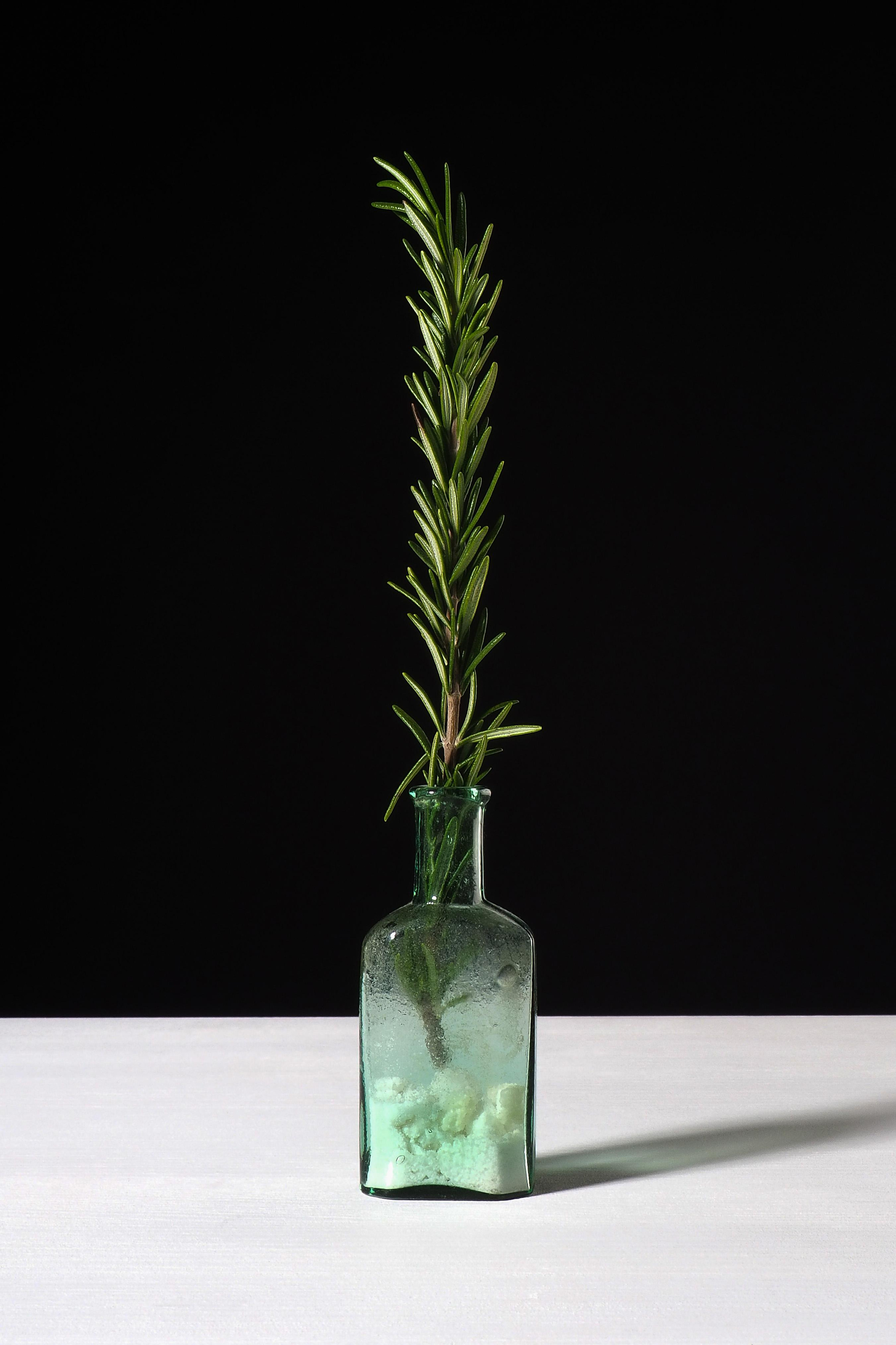 Специи. Портретный фотограф в Петербурге Рейн Раше