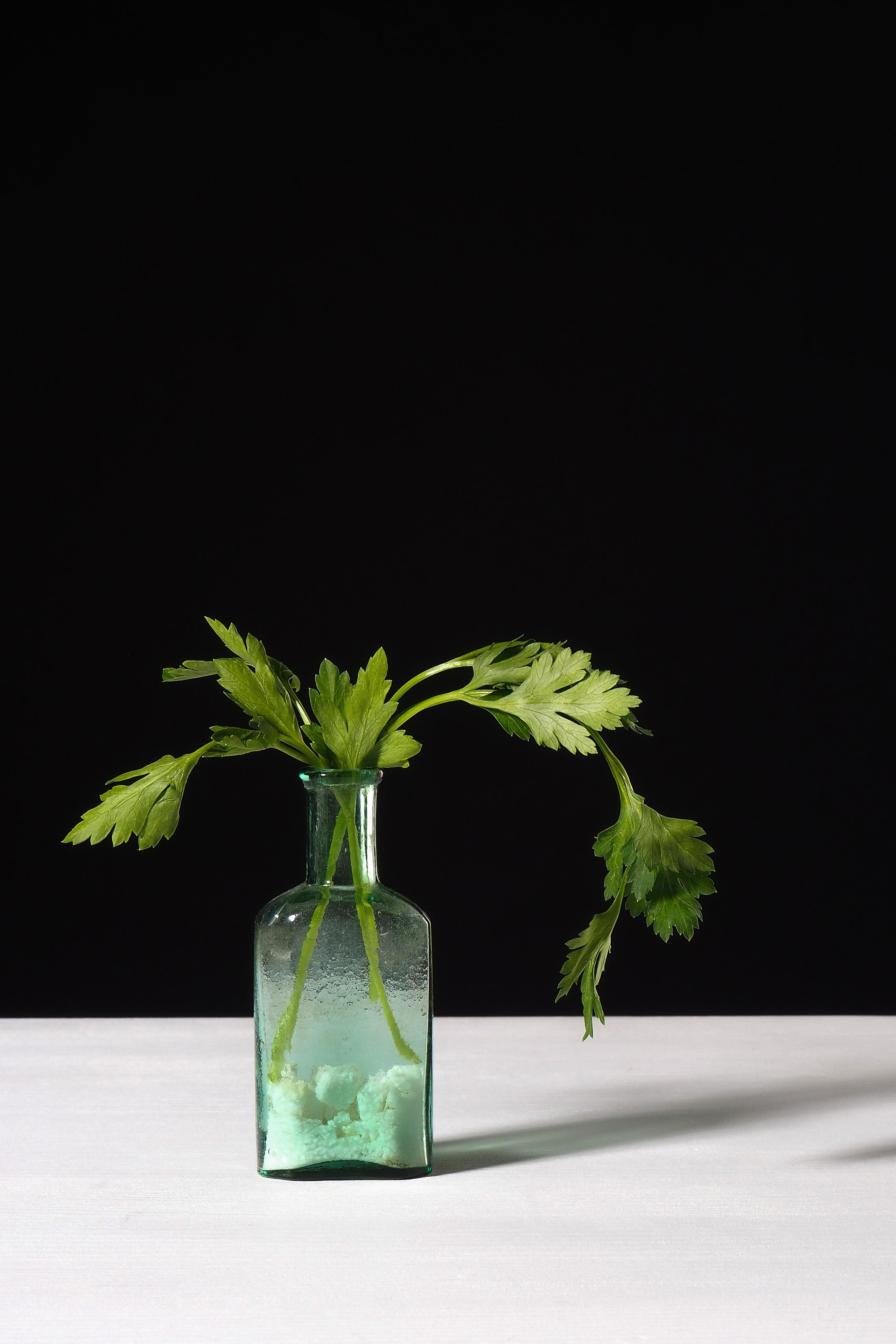 Специи. Портретный фотограф в Петербурге Рейн Раше