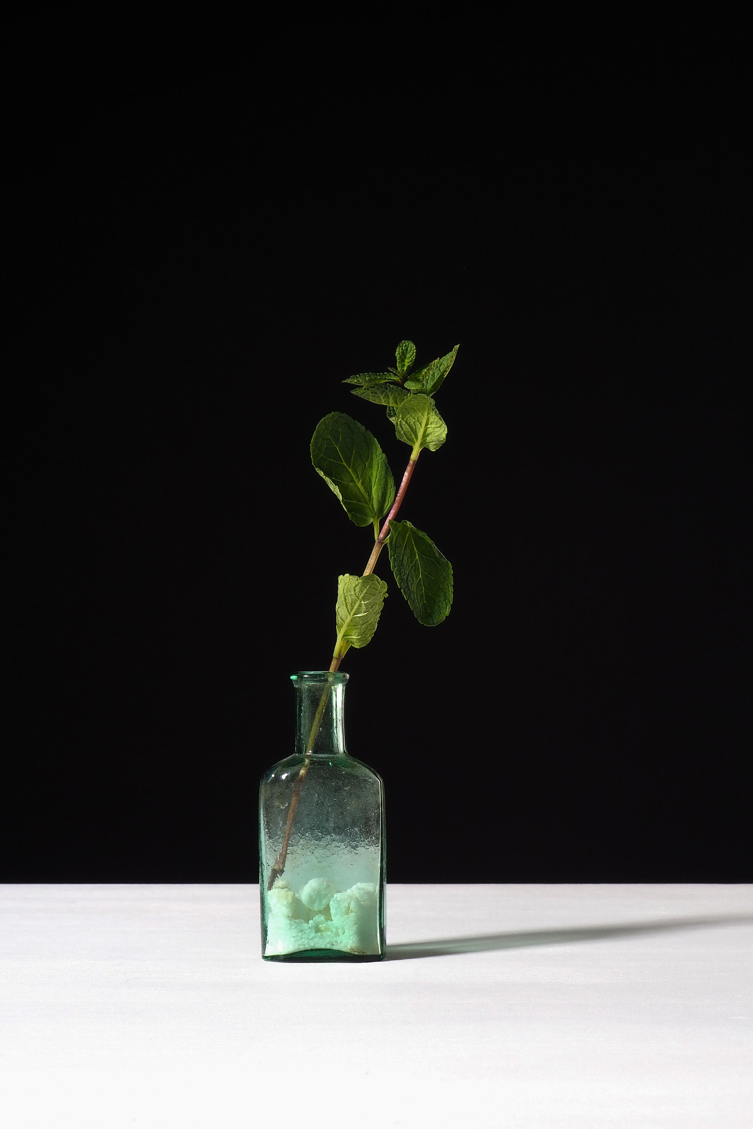 Специи. Портретный фотограф в Петербурге Рейн Раше