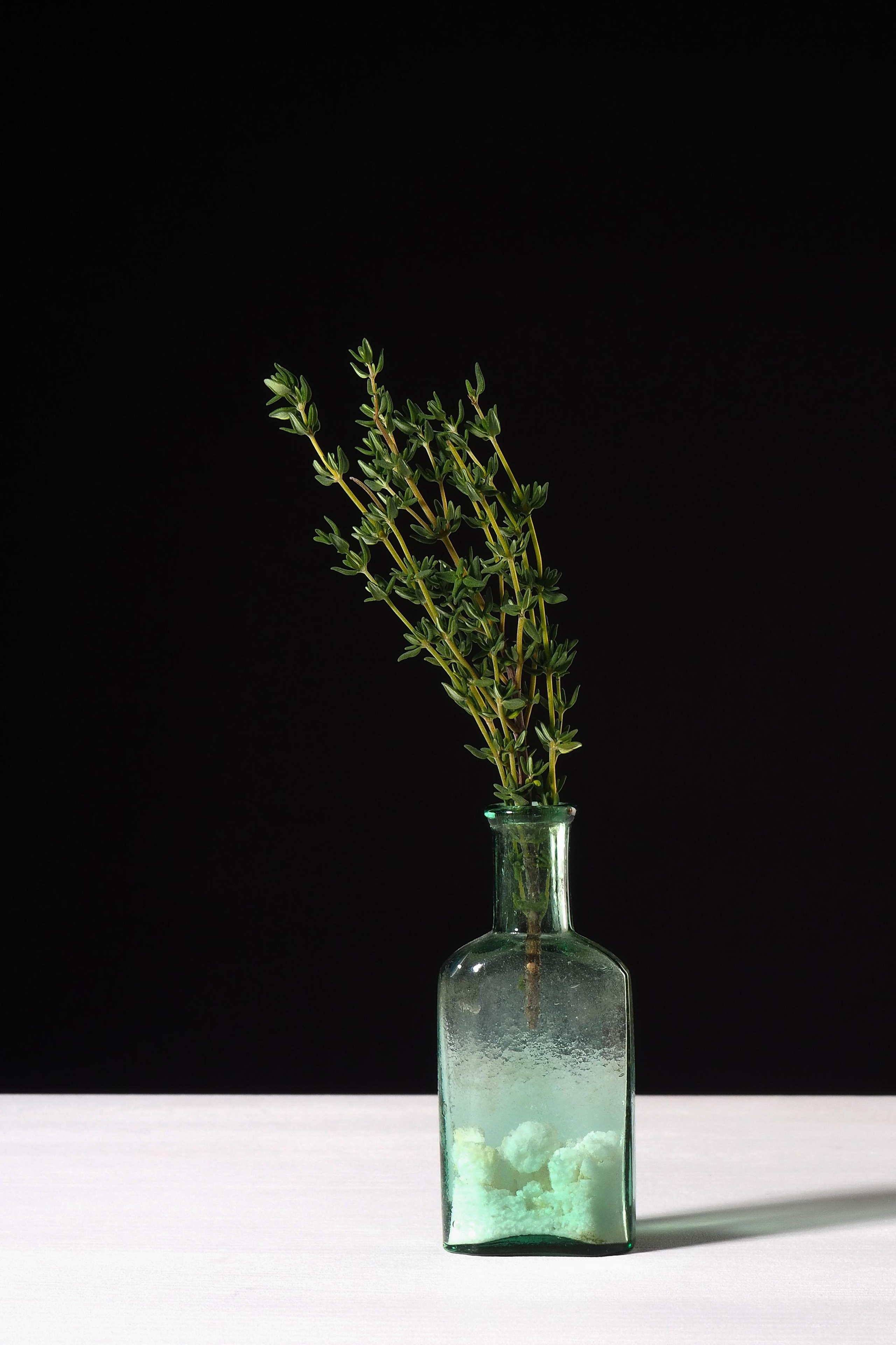 Специи. Портретный фотограф в Петербурге Рейн Раше