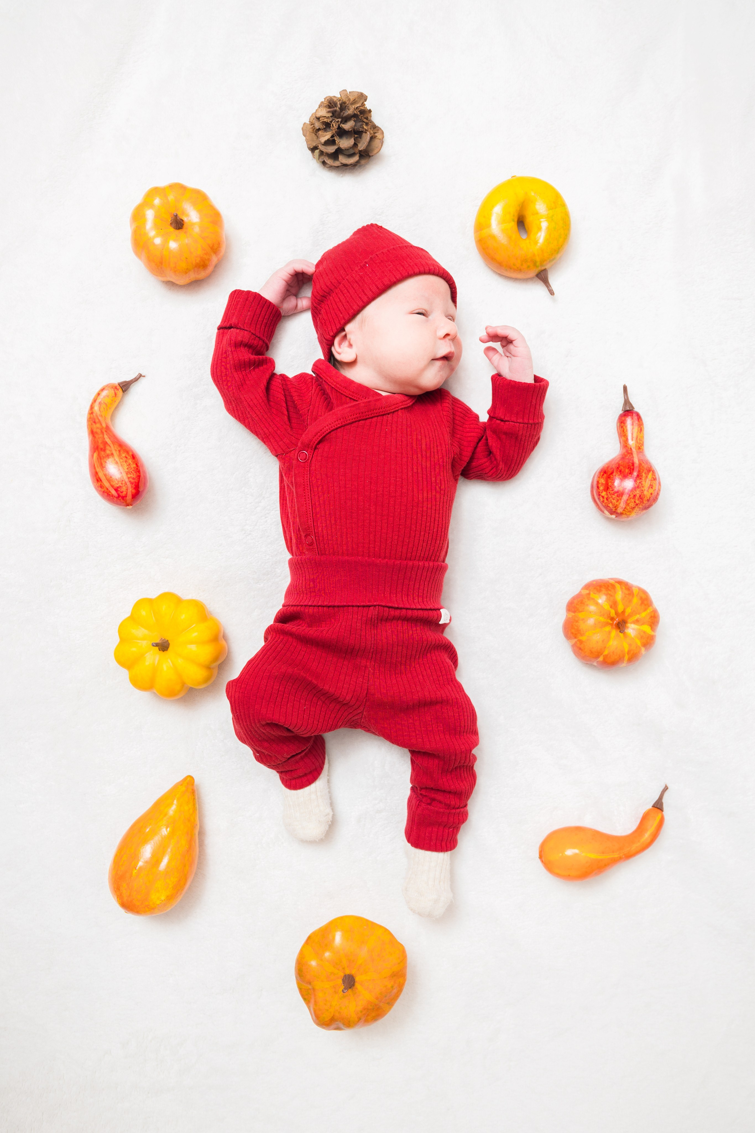 Newborn. Photomantis