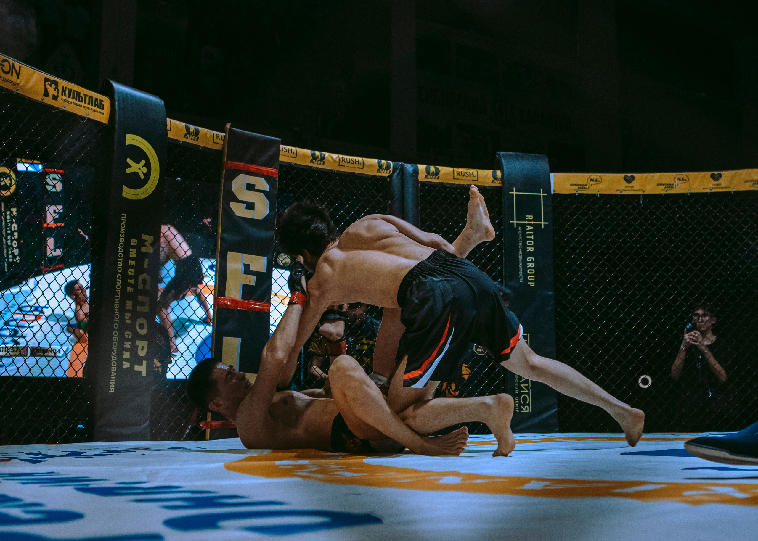 SFL 17 | Siberian Fighting League. Портретный фотограф в Москве Дарья Цезария