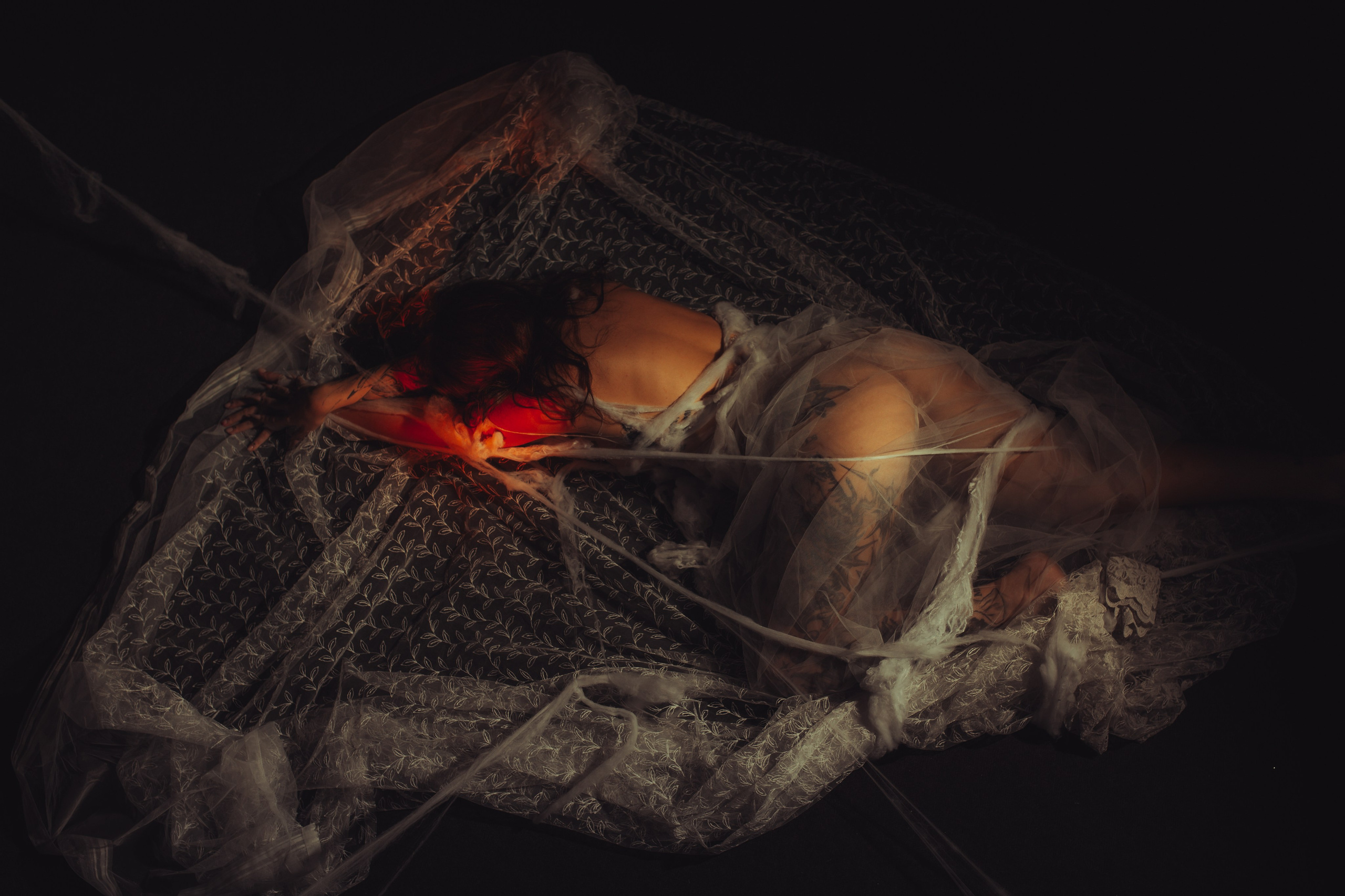 Diibae spider. Фотограф из Санкт-Петербурга Валерия Ленских