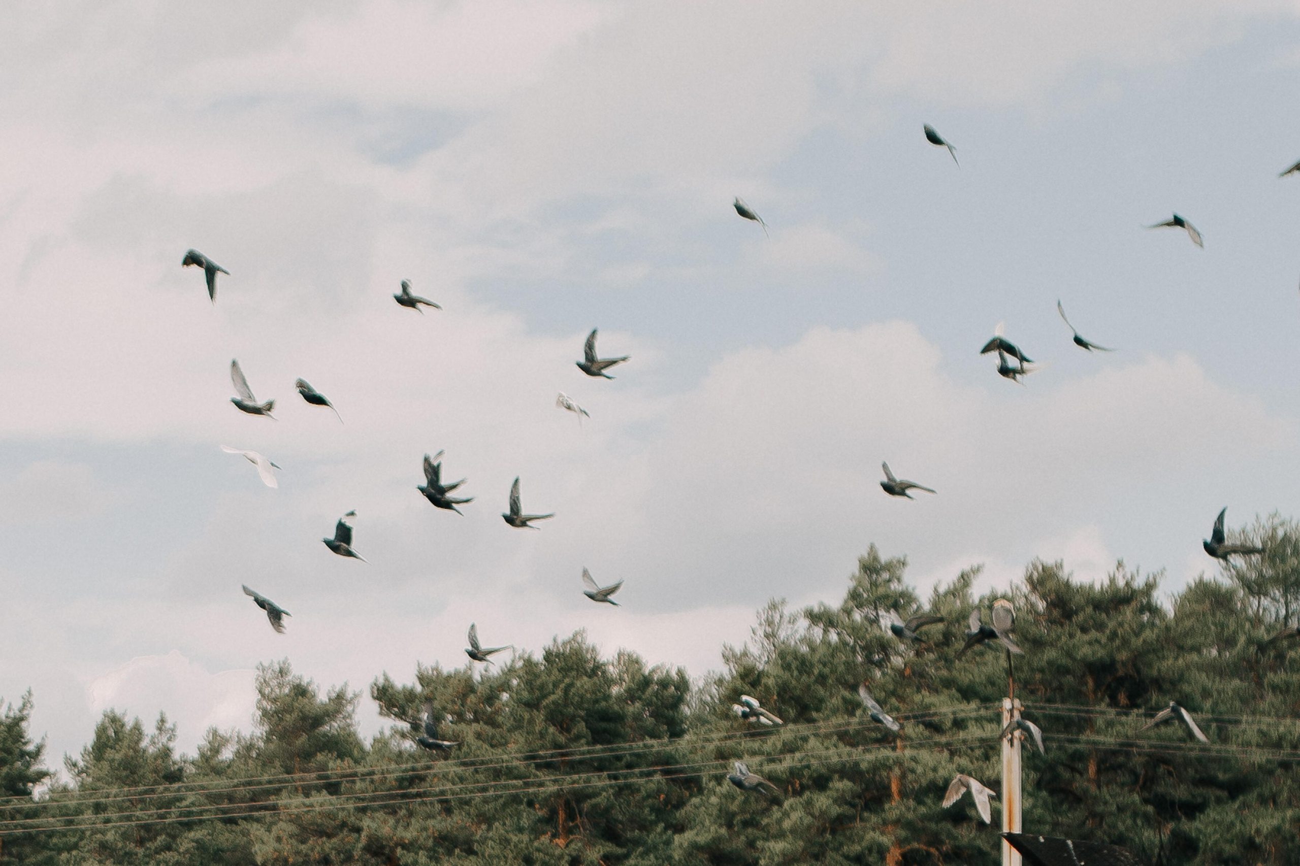 Ольга и Юрий. СВАДЕБНЫЙ ФОТОГРАФ ЧЕЛЯБИНСК