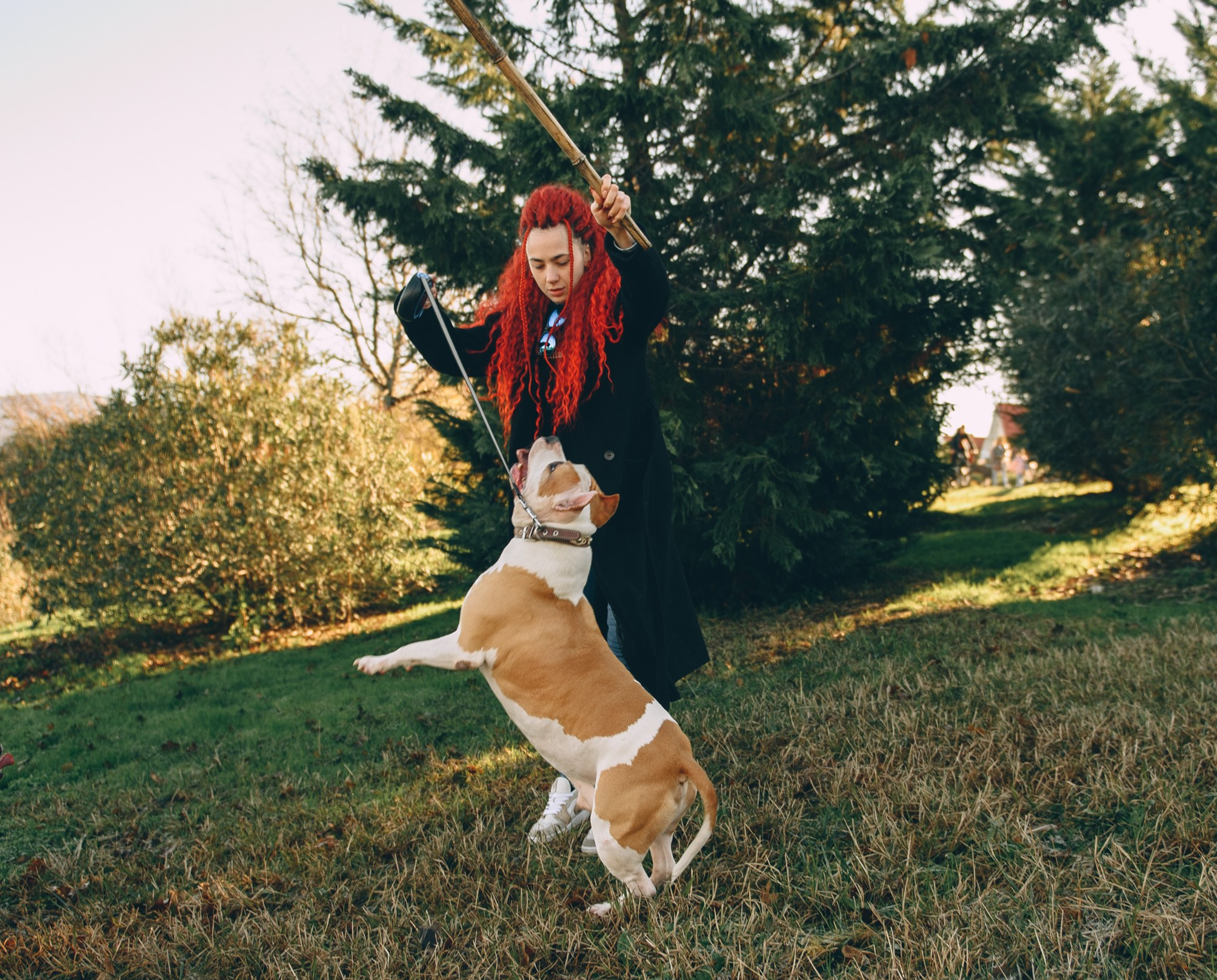 Игры с собаками. Свадебный и семейный фотограф София Невская