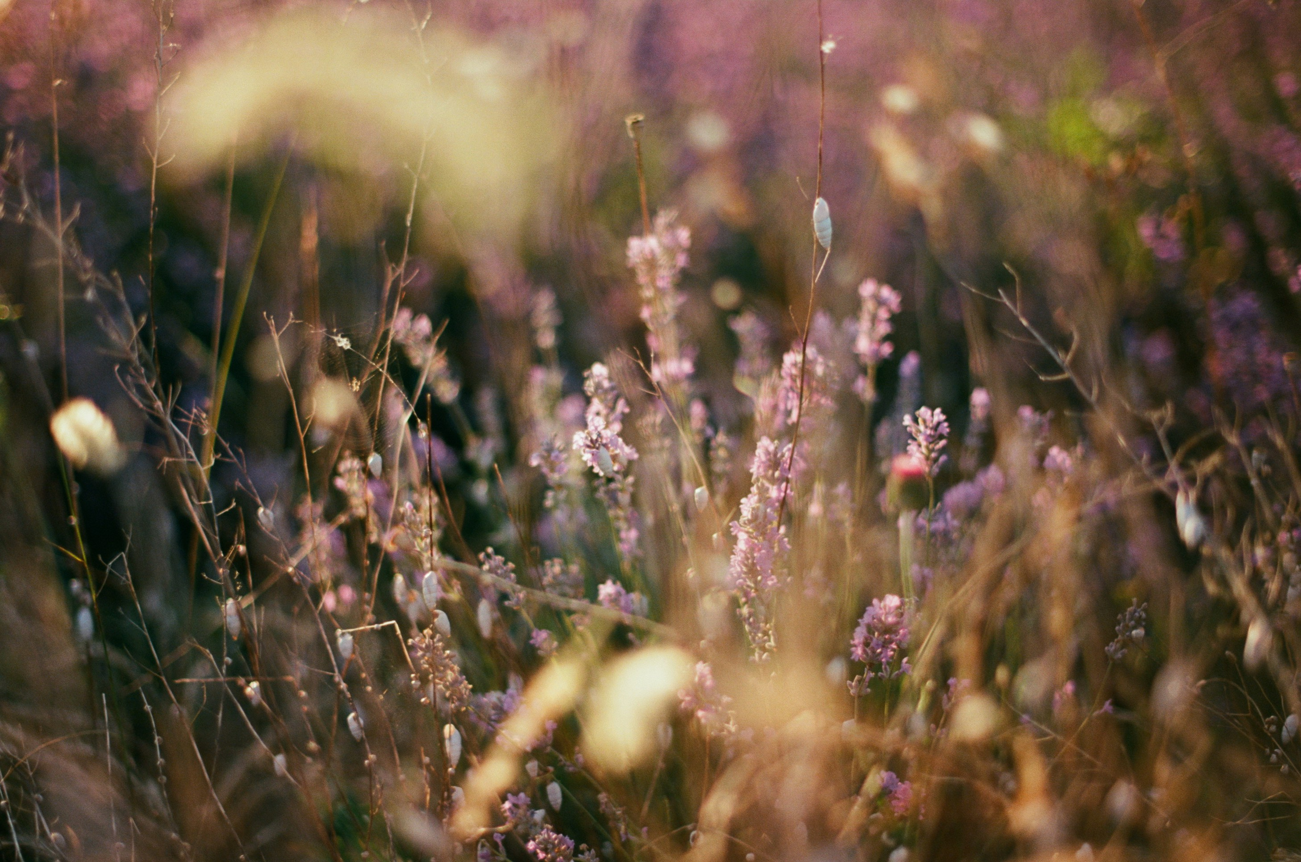 Silent running // ukraine, crimea VI. EVER EXPOSED