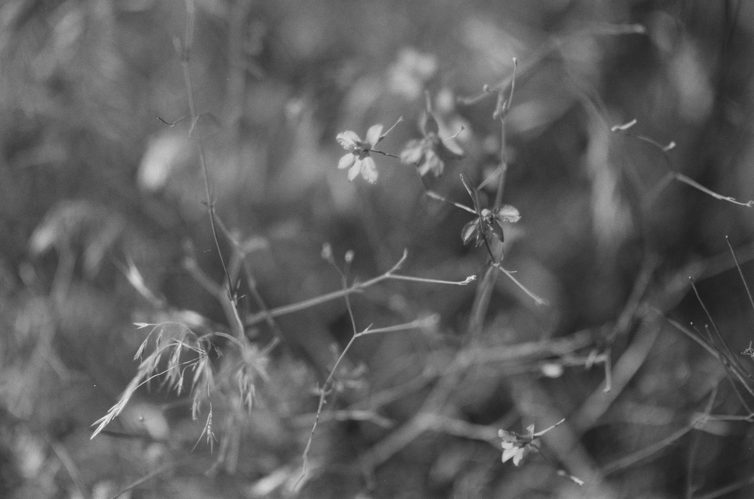 Plastinki // ukraine, crimea II. EVER EXPOSED