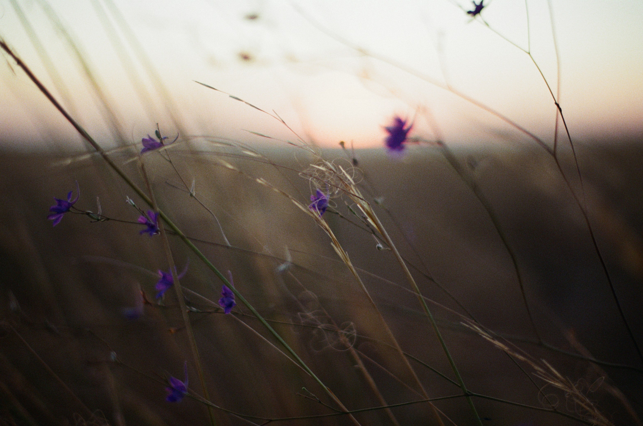 Your guardian angel // ukraine, crimea. EVER EXPOSED