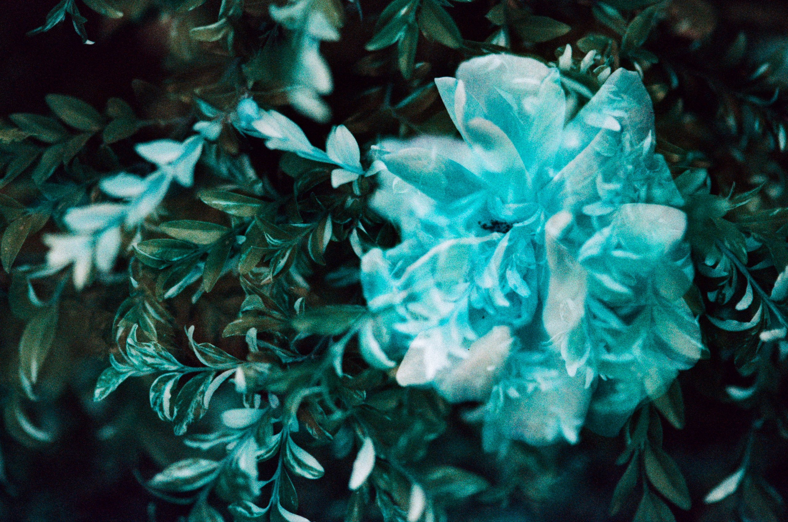 Pain shopping // ukraine, crimea III. EVER EXPOSED