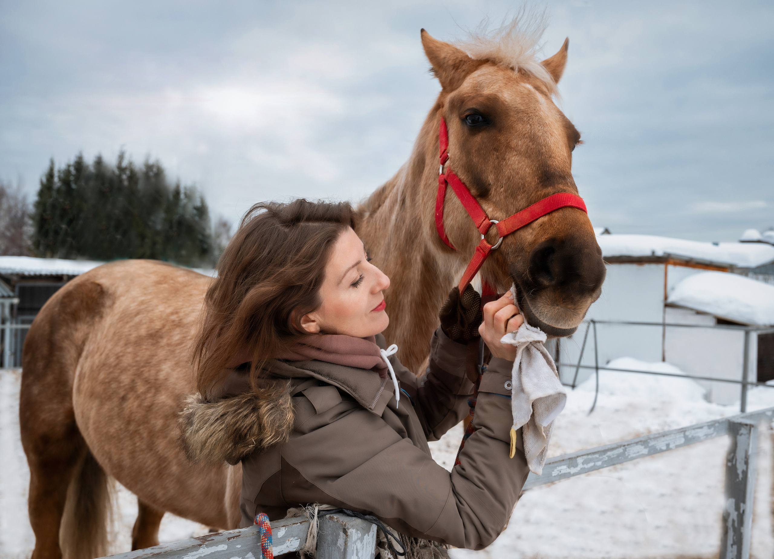 КСК «Корнет». Семейный фотограф в г. Воскресенск Наталия Молева