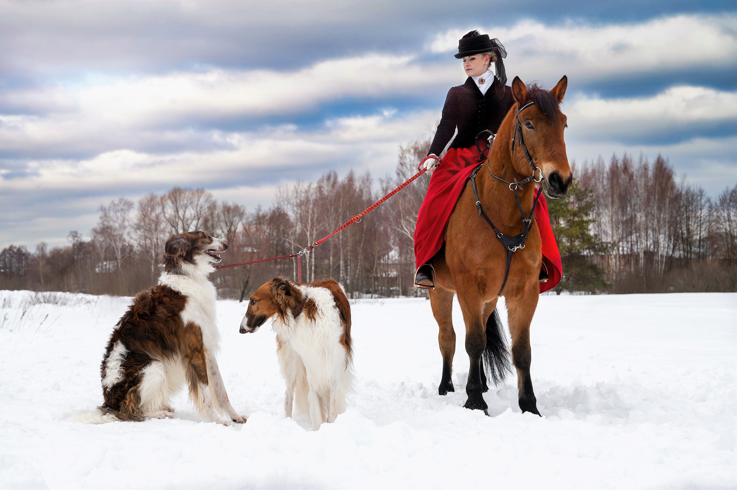 КСК «Корнет». Семейный фотограф в г. Воскресенск Наталия Молева