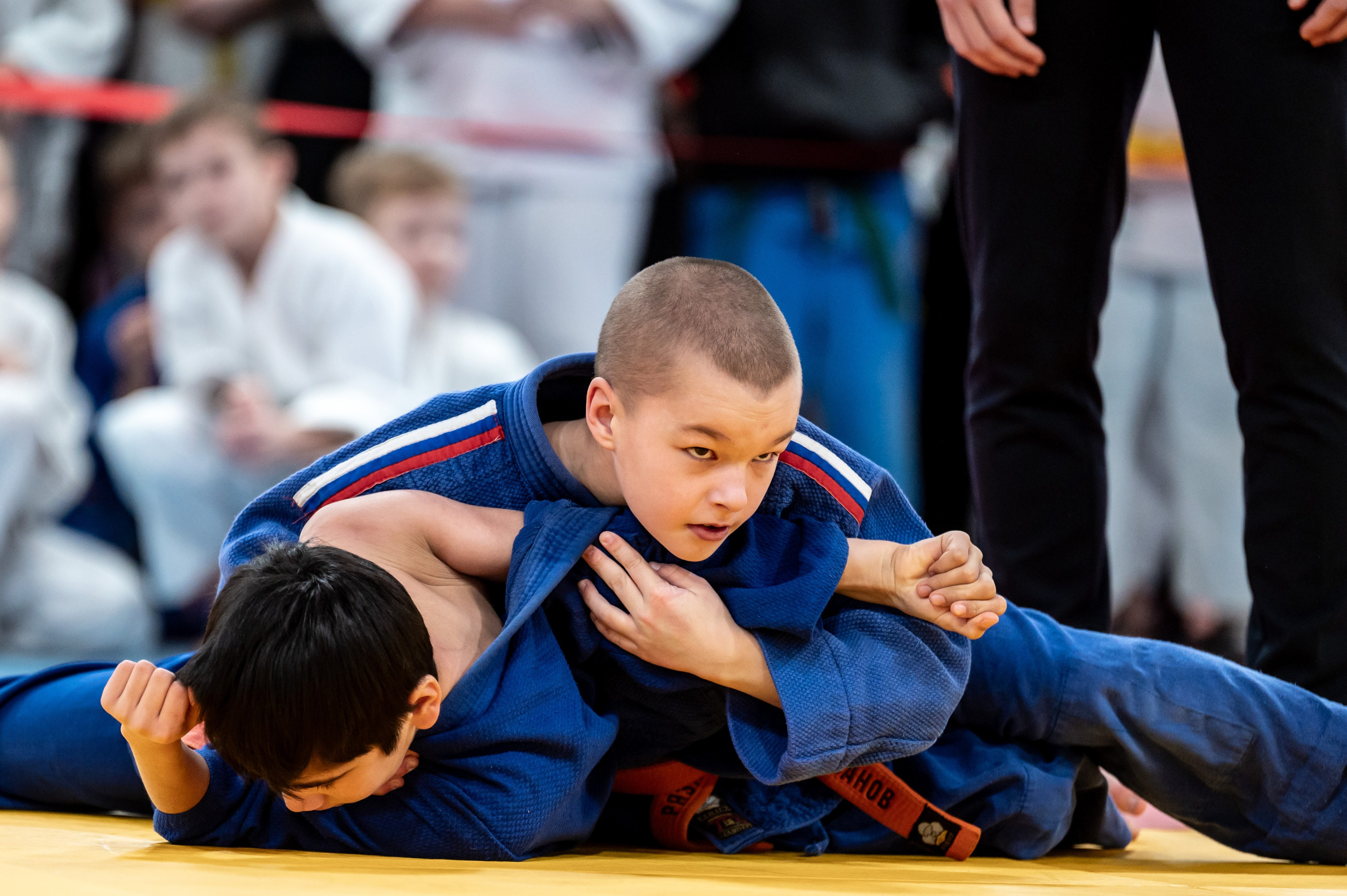Новогодний турнир по дзюдо. Январь 2024. Спортивный фотограф в Туле и Тульской области. Файсханова Фото Спорт