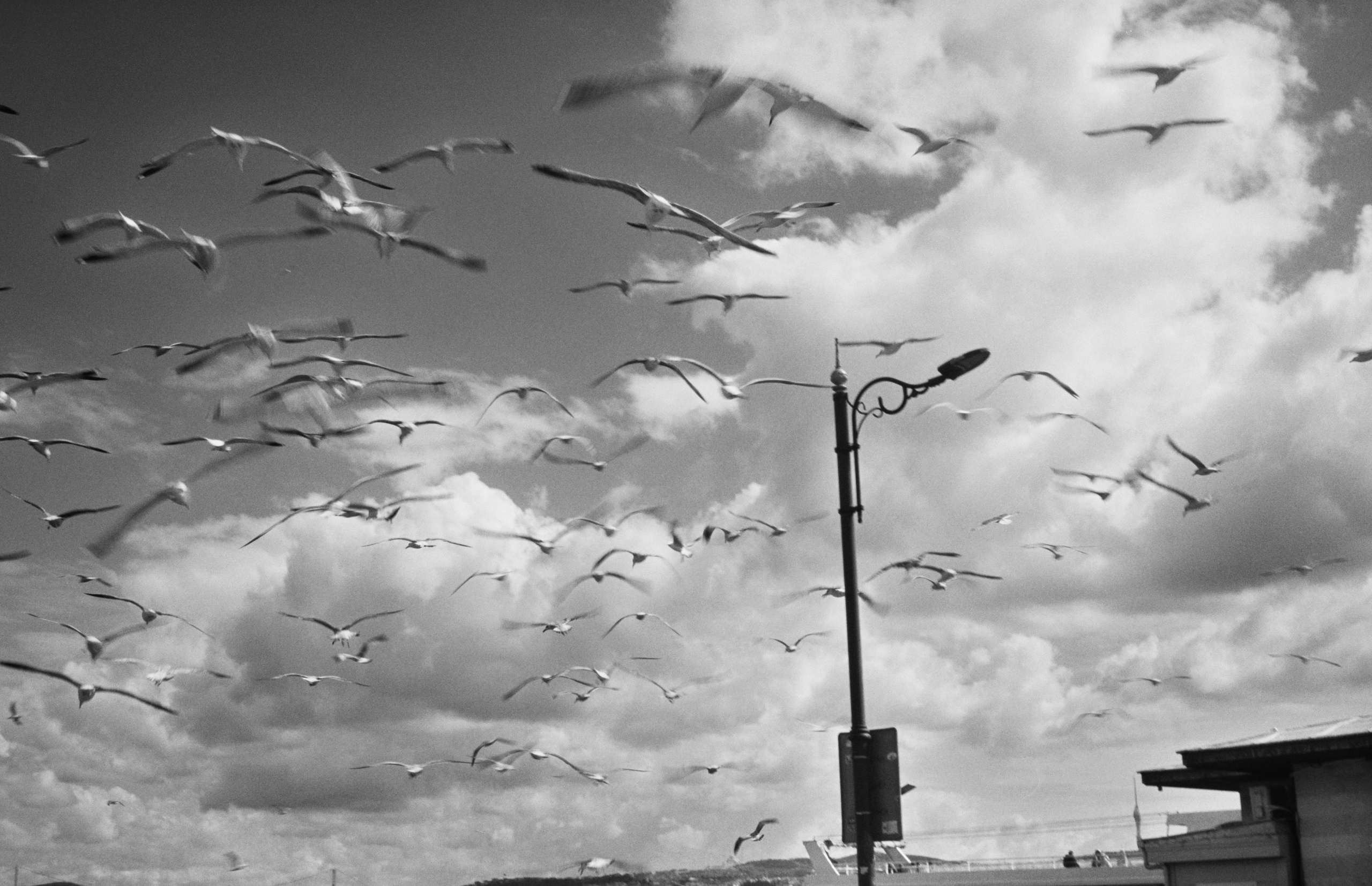 Photo. Оператор-постановщик рекламы и музыкальных клипов