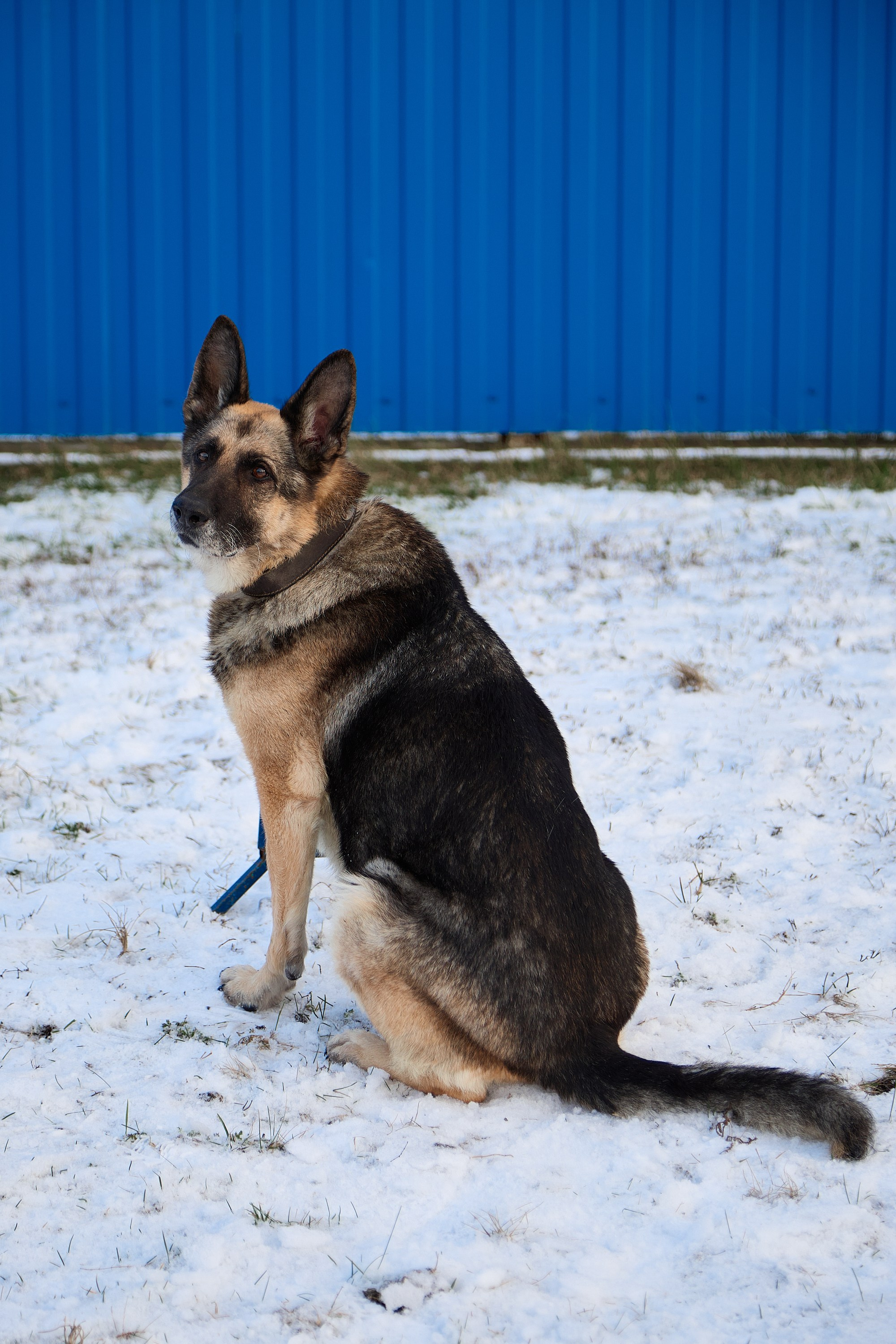 Юниор Профи 2025. Портретный фотограф Евгений Денисов