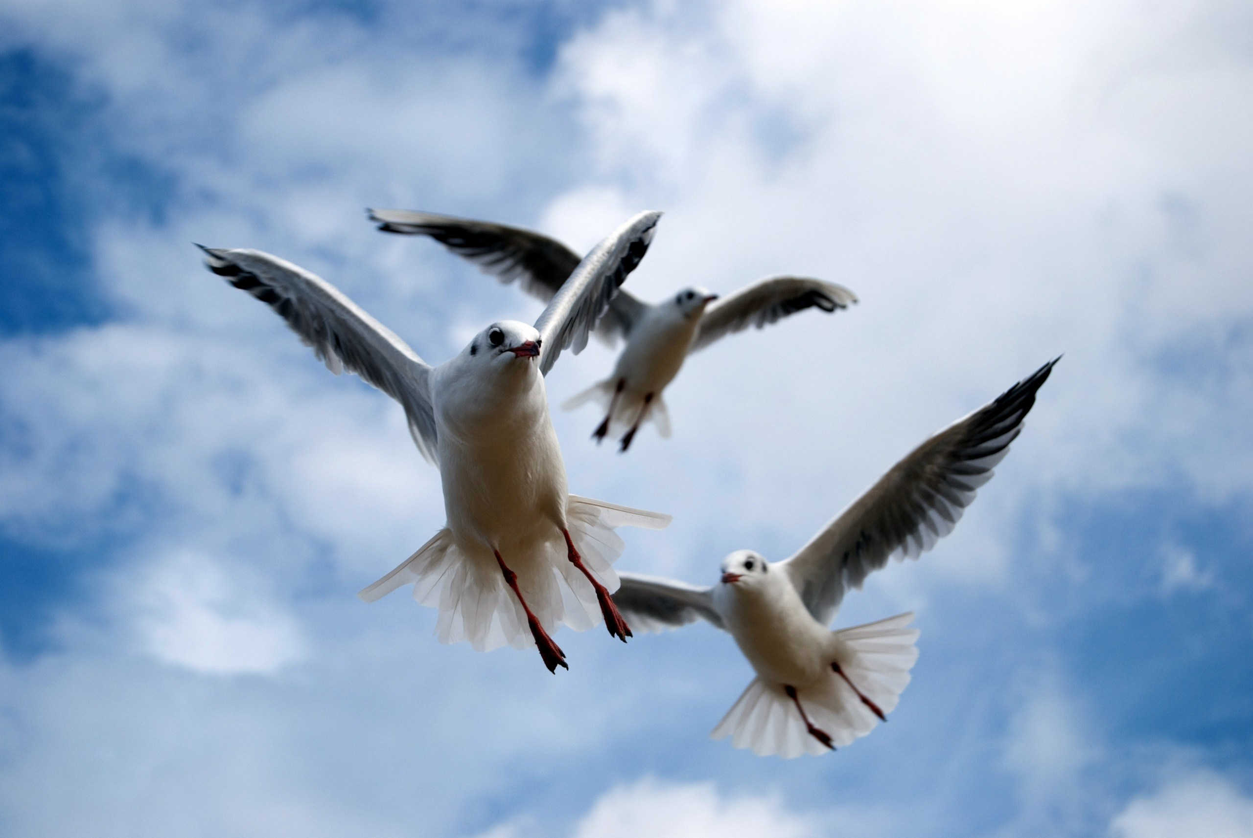 Латвия. Аня Степанова