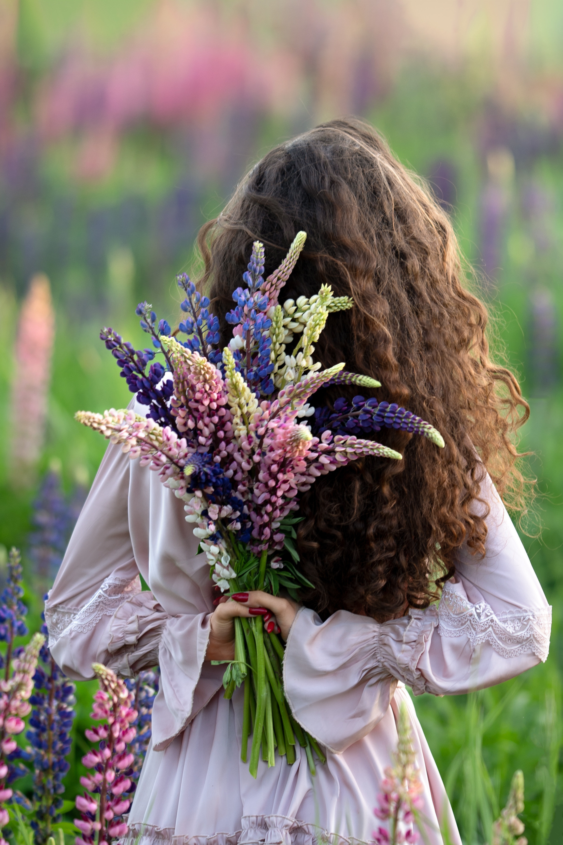 Фотосессия в люпиновом поле. Фотограф Елена Сасс Москва