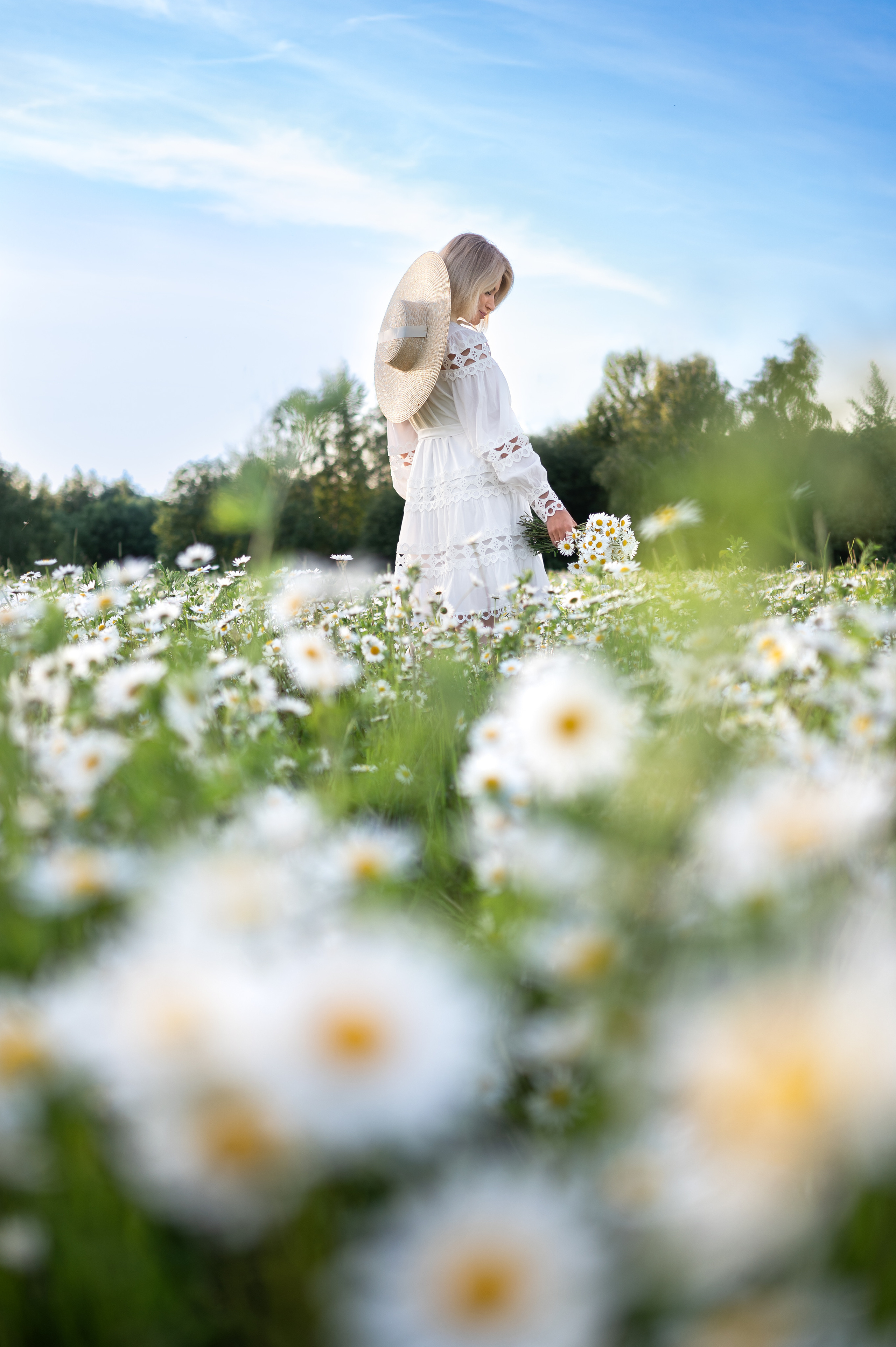 Фотосессия в ромашковом поле. Фотограф Елена Сасс Москва