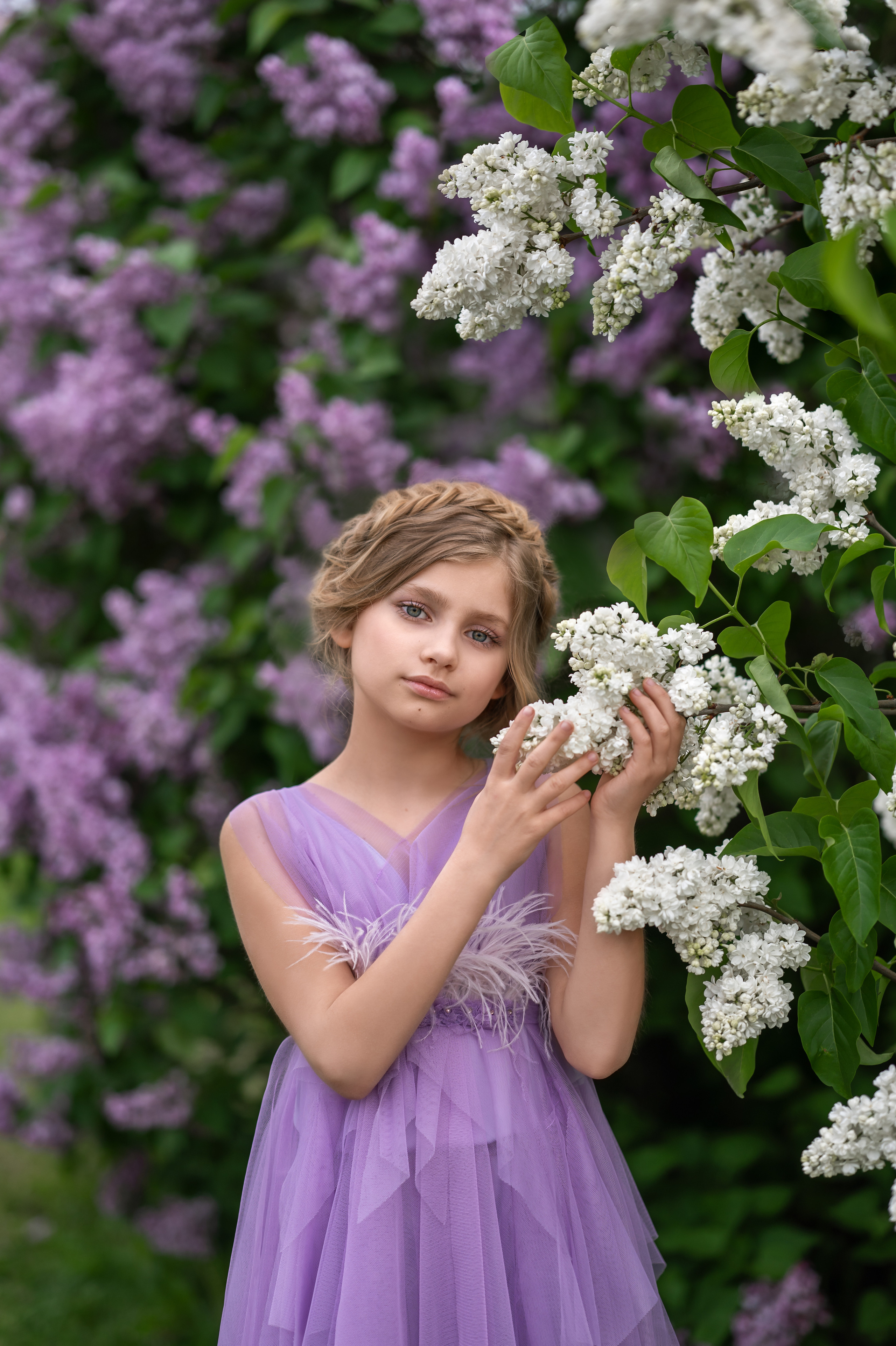 Сиреневая фотосессия Алины-Виктории. Фотограф Елена Сасс Москва