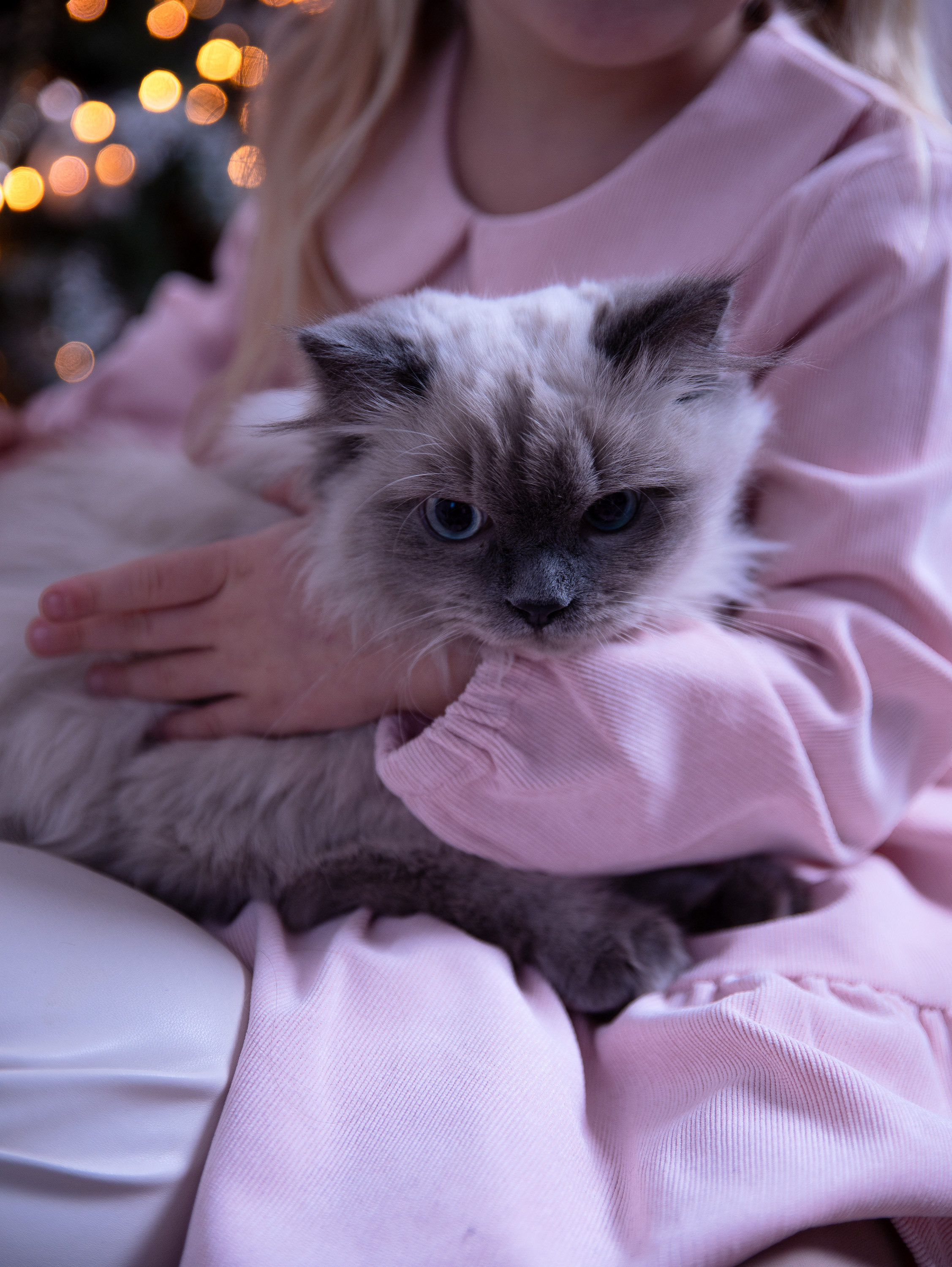 Алена и Саша в студии Skypoint. Фотограф в СПб и ЛО Татьяна Кучерова