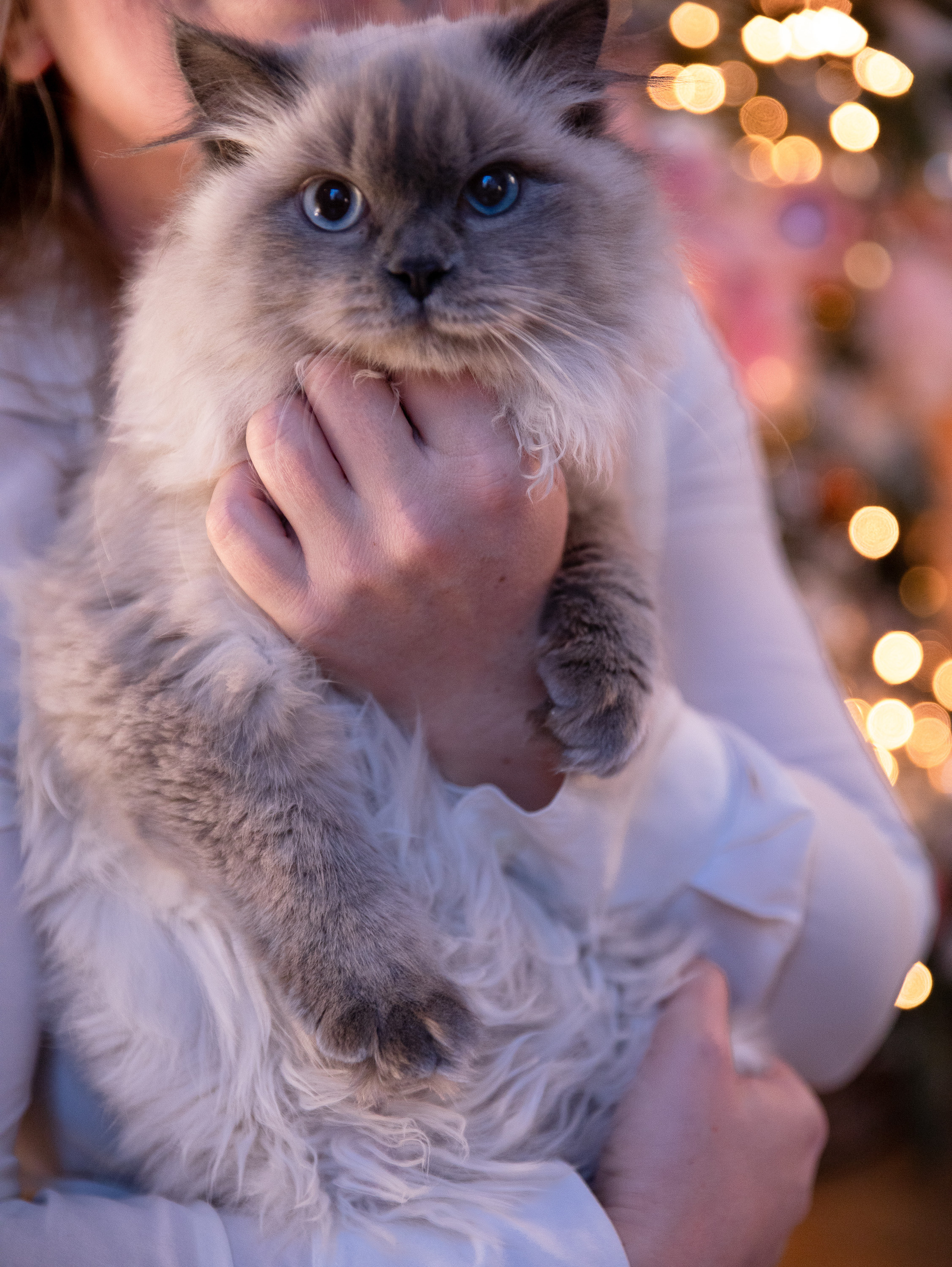 Алена и Саша в студии Skypoint. Фотограф в СПб и ЛО Татьяна Кучерова