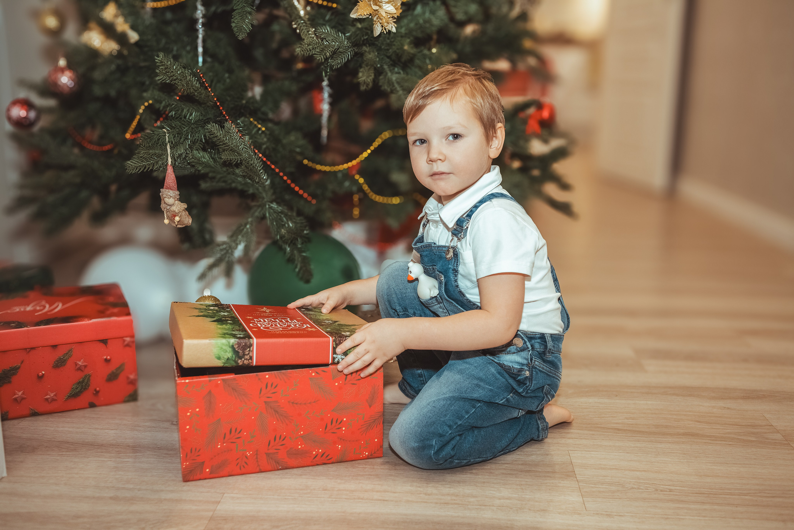 Новый год в кругу семьи (домашняя съемка). Вера Соколова фотограф Воронеж