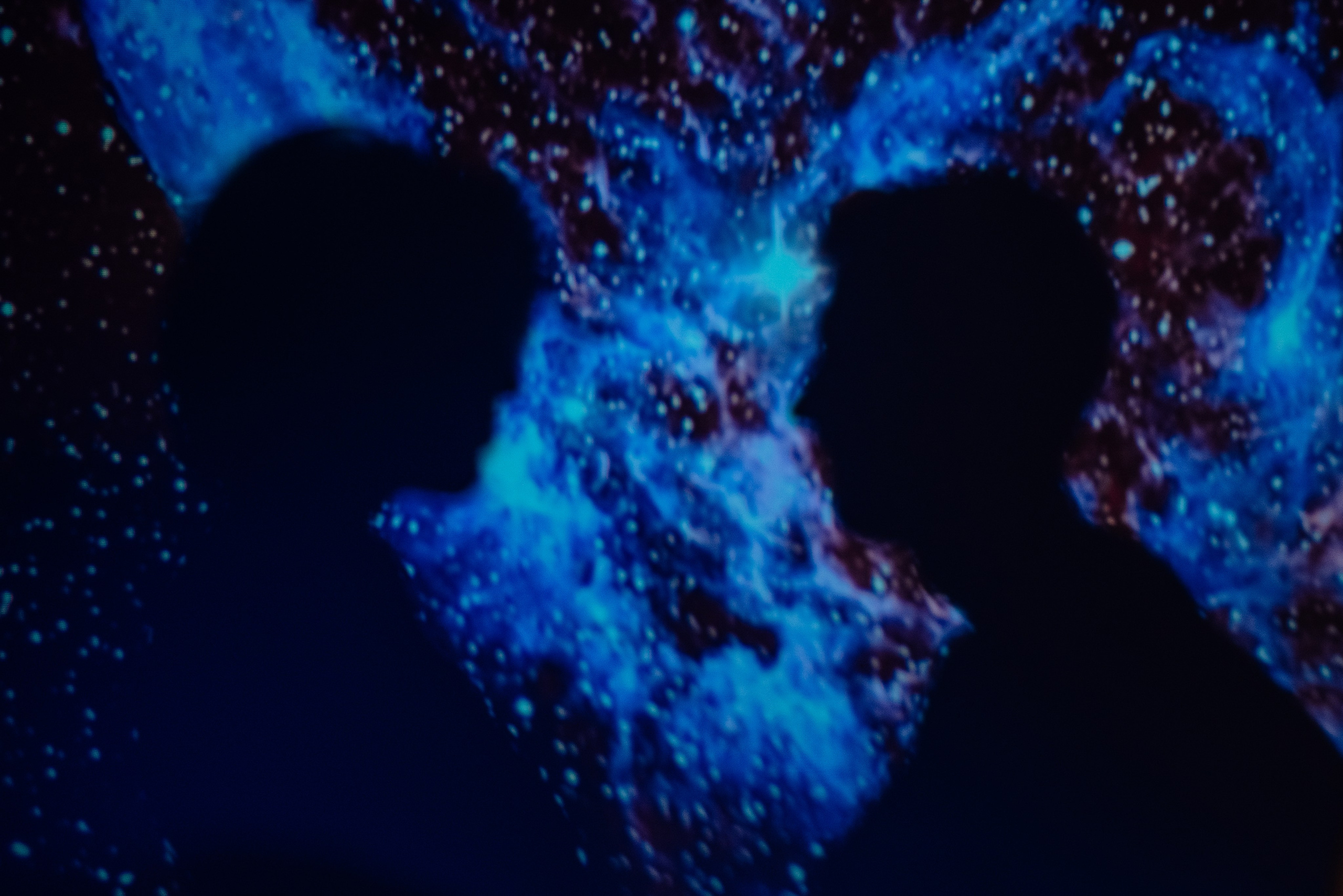 ВСЕЛЕННАЯ. ПРОЕКТОР. Детский и семейный фотограф Катерина Мишина