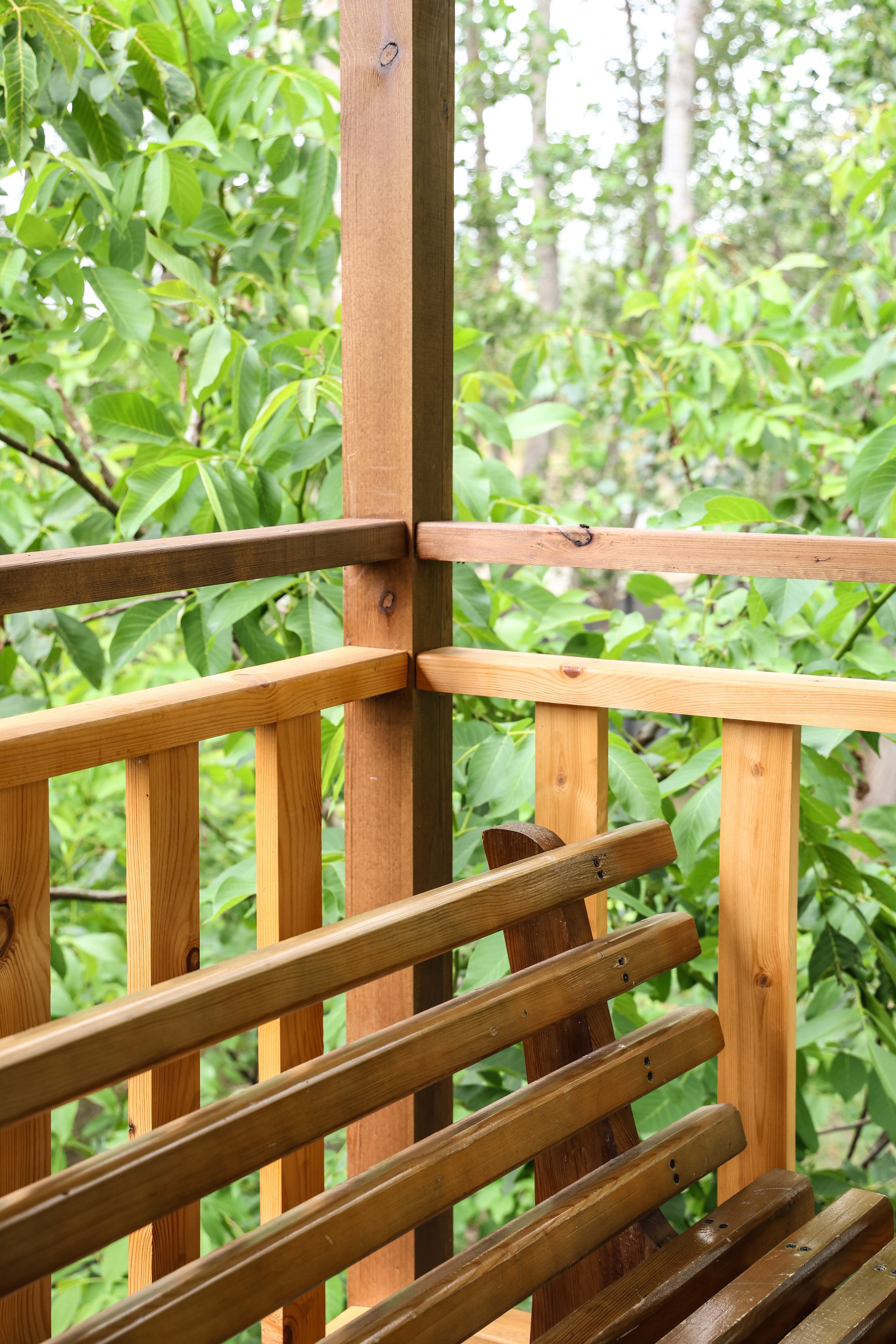 Рассвет. Zuleta.Go