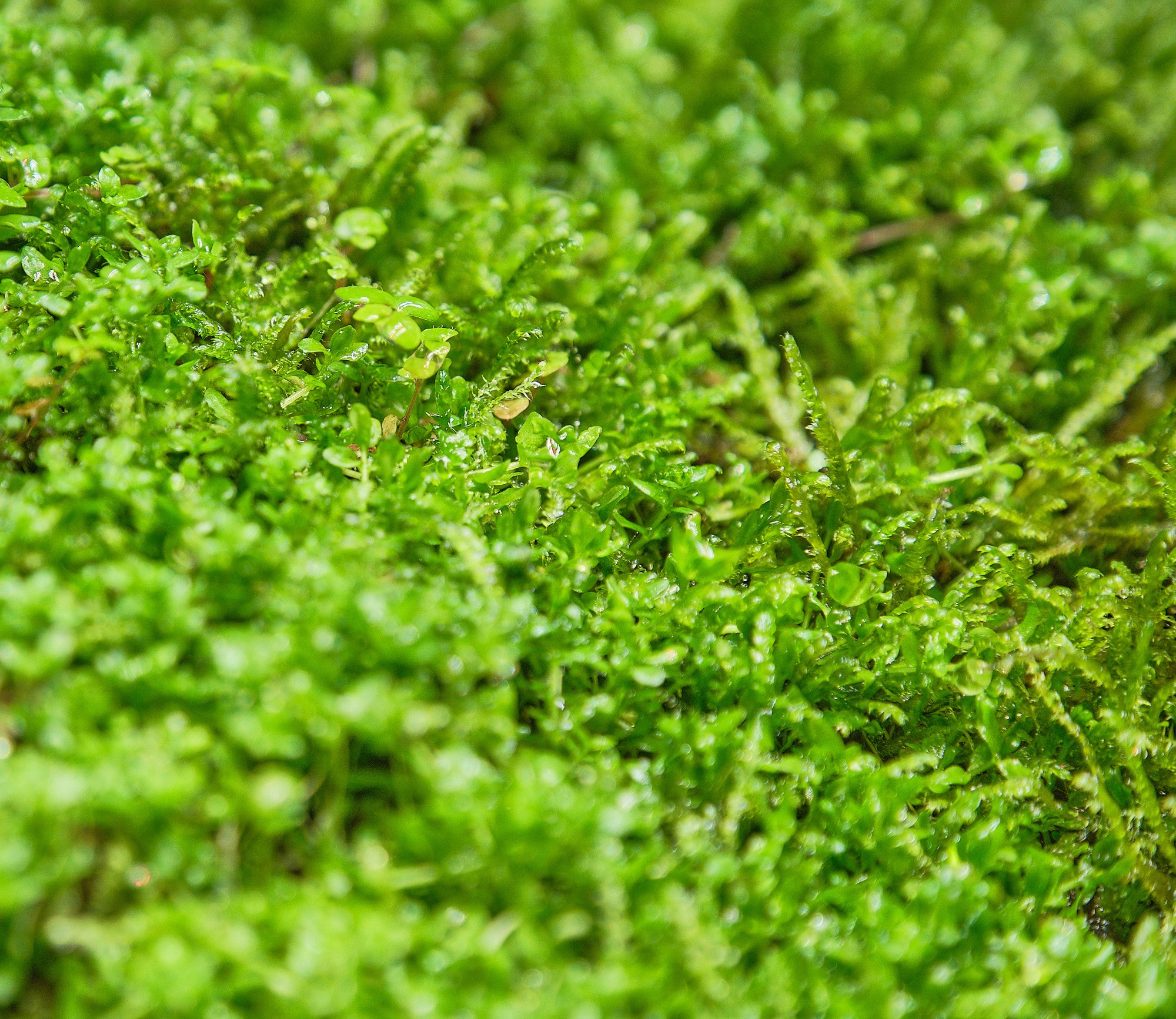 Фотоальбом с разными съёмками