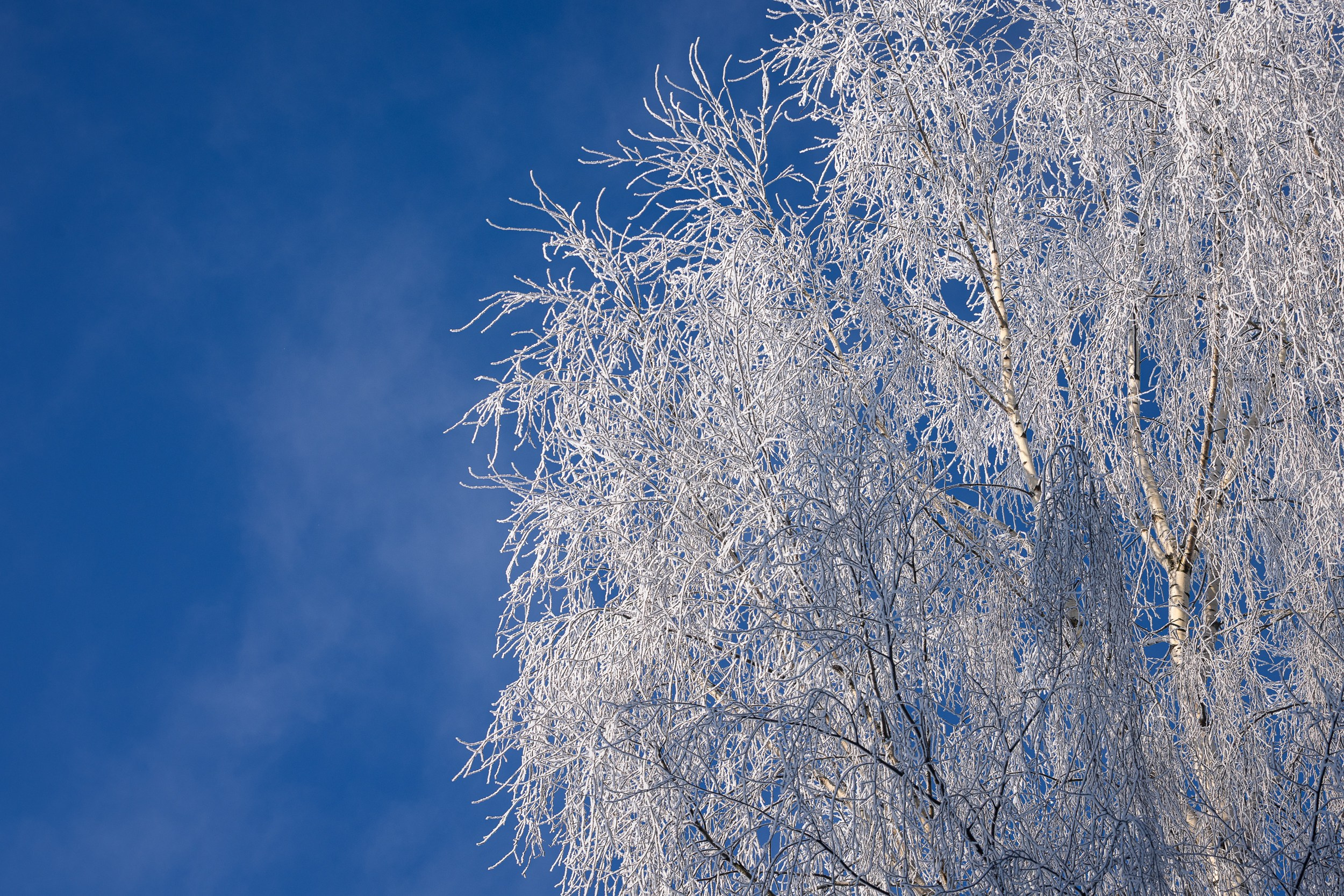 Контакты. ESHE_PHOTO Фотограф в Москве и Московской области