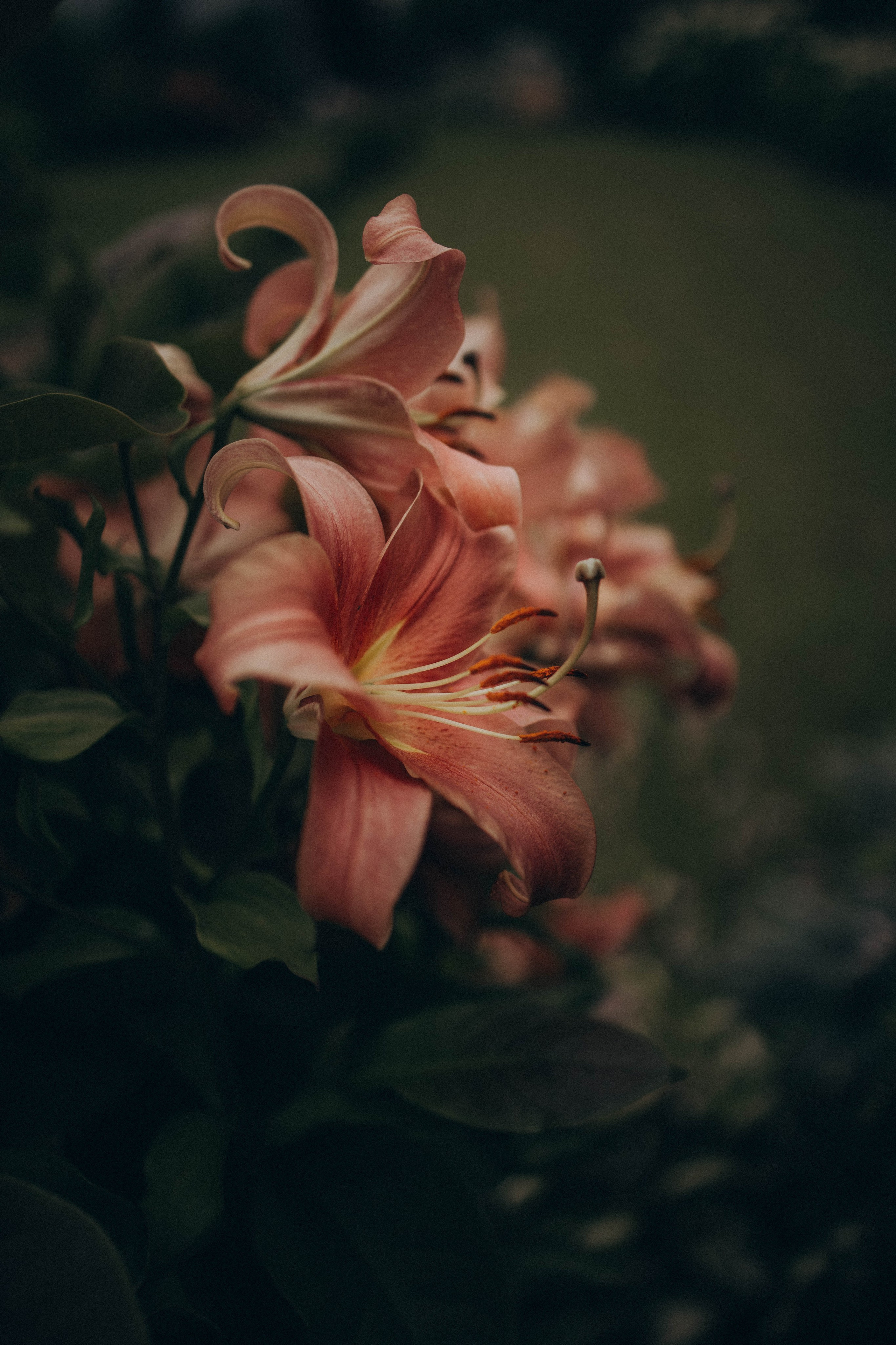 Одним летним днем. Фотограф lifestylе в Москве Пшеничная Анастасия