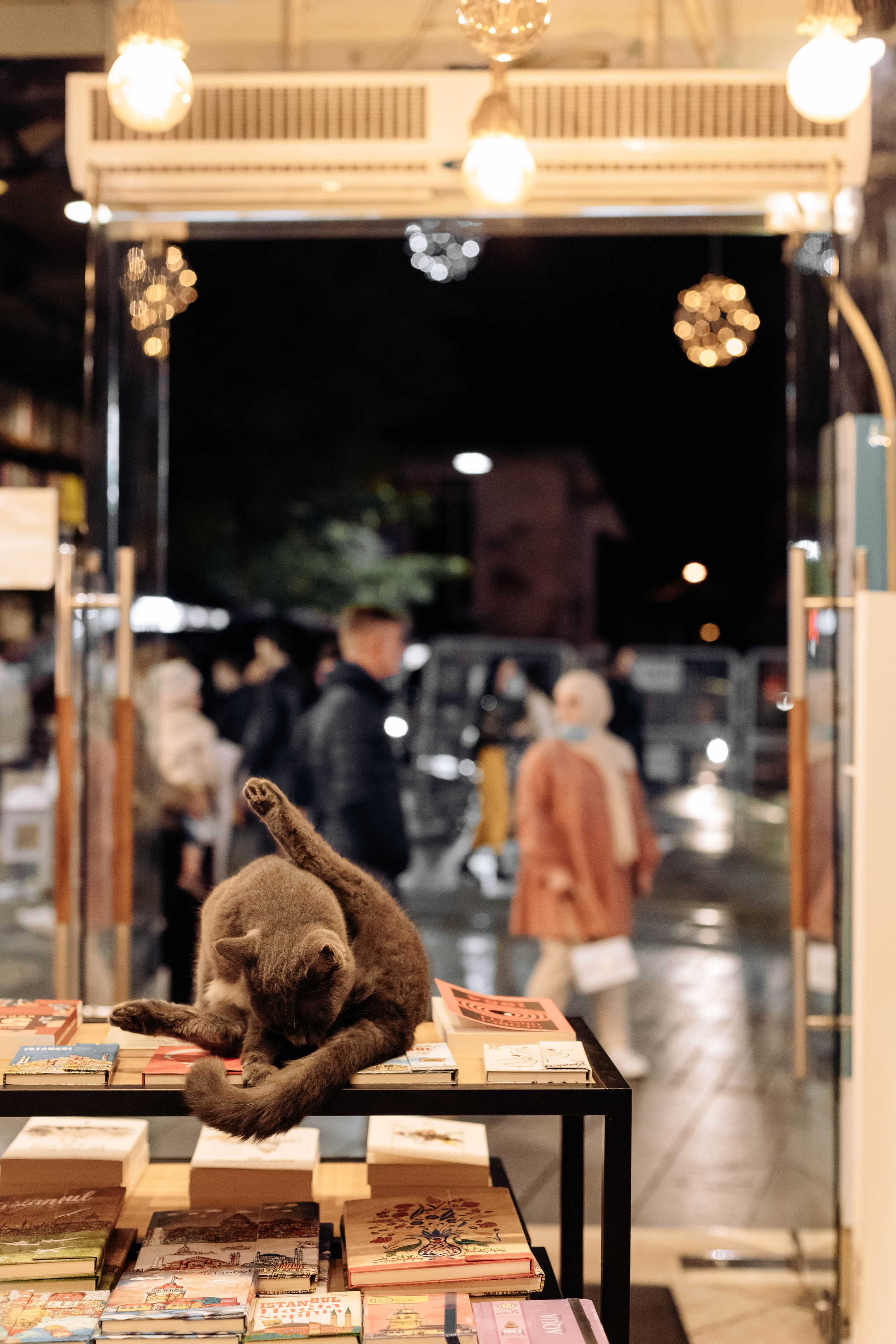 Istanbul. Katerina Spekhova