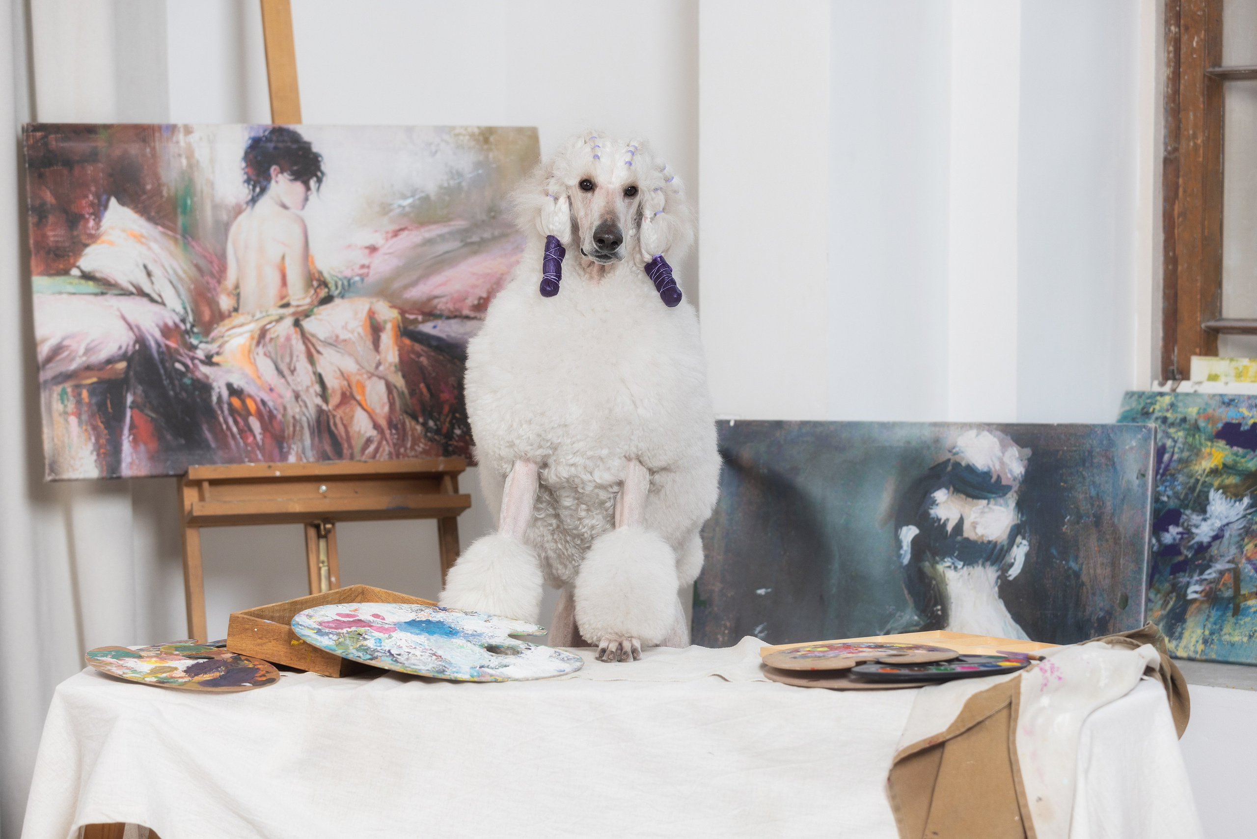 Собаки и не только. Фотограф Алена Звездина