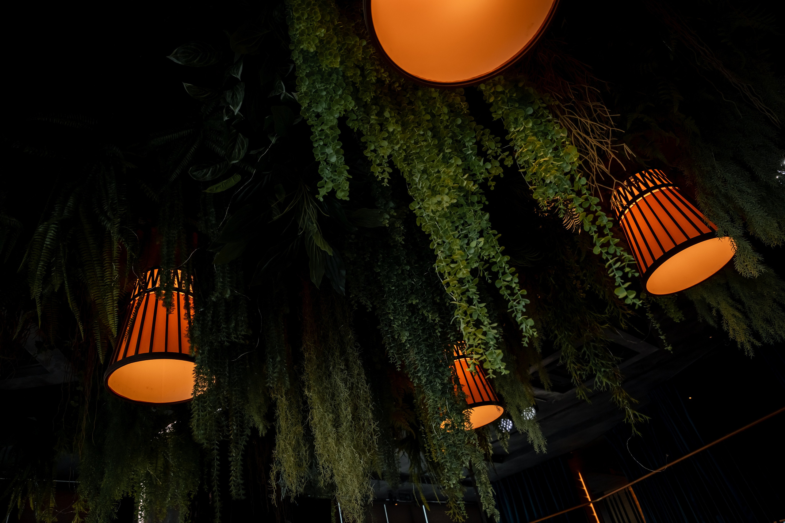 Открытие премиального клуба ABOSS | Ресторан Birds. Фотограф брендов и бизнеса в Москве Алексей Сентюрин