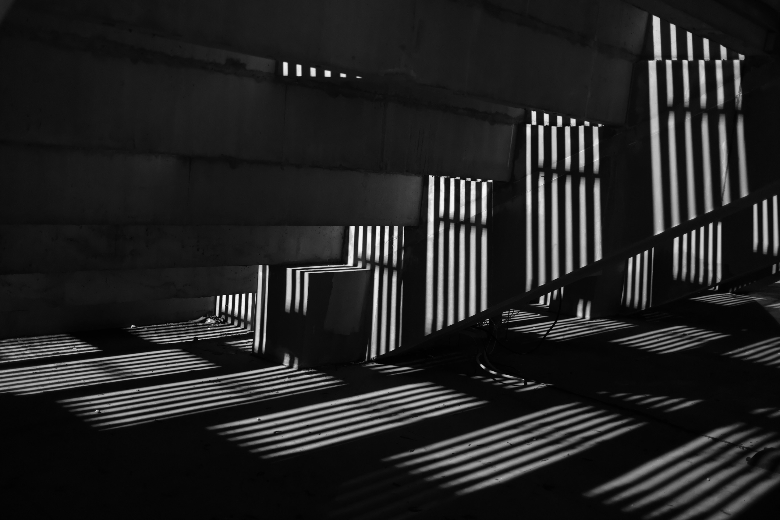 Черно-белое. Миша Печёнкин | фотография