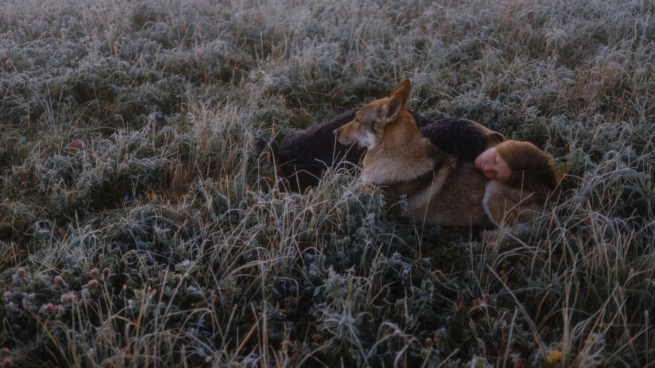 Полина и Вегард. Фотограф-анималист Богданова Полина