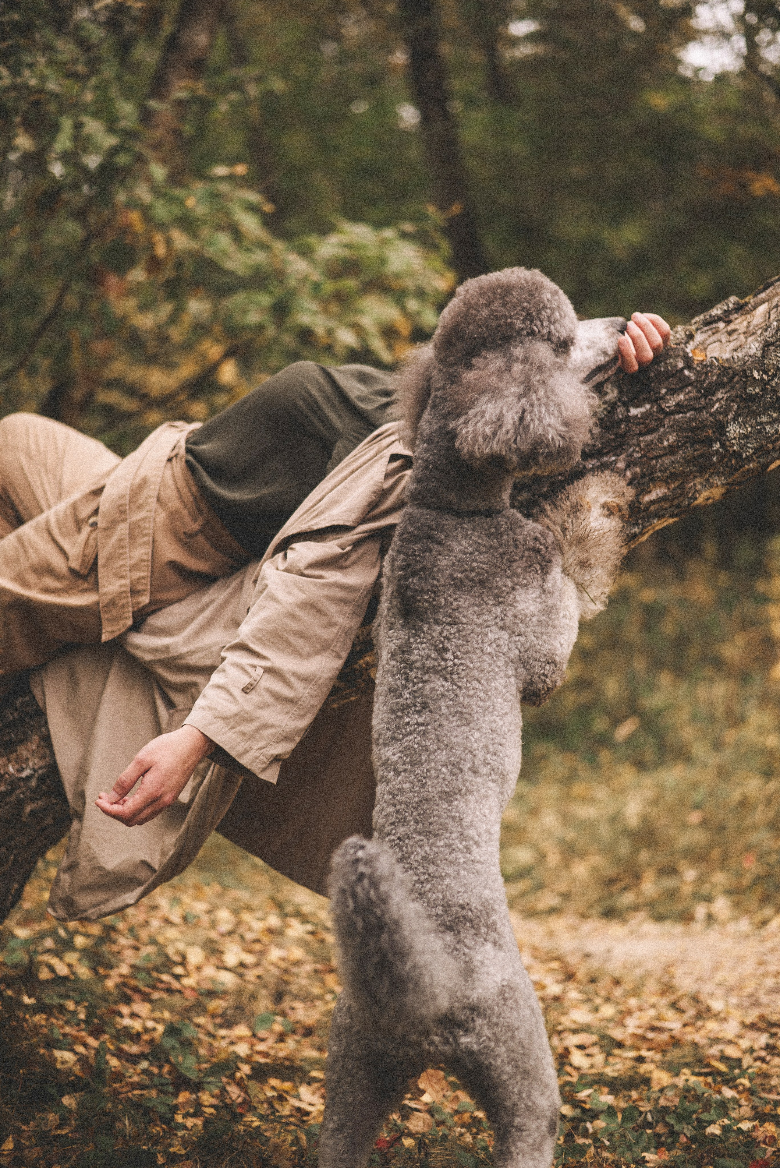 Алёна и Смоки. Фотограф-анималист Богданова Полина