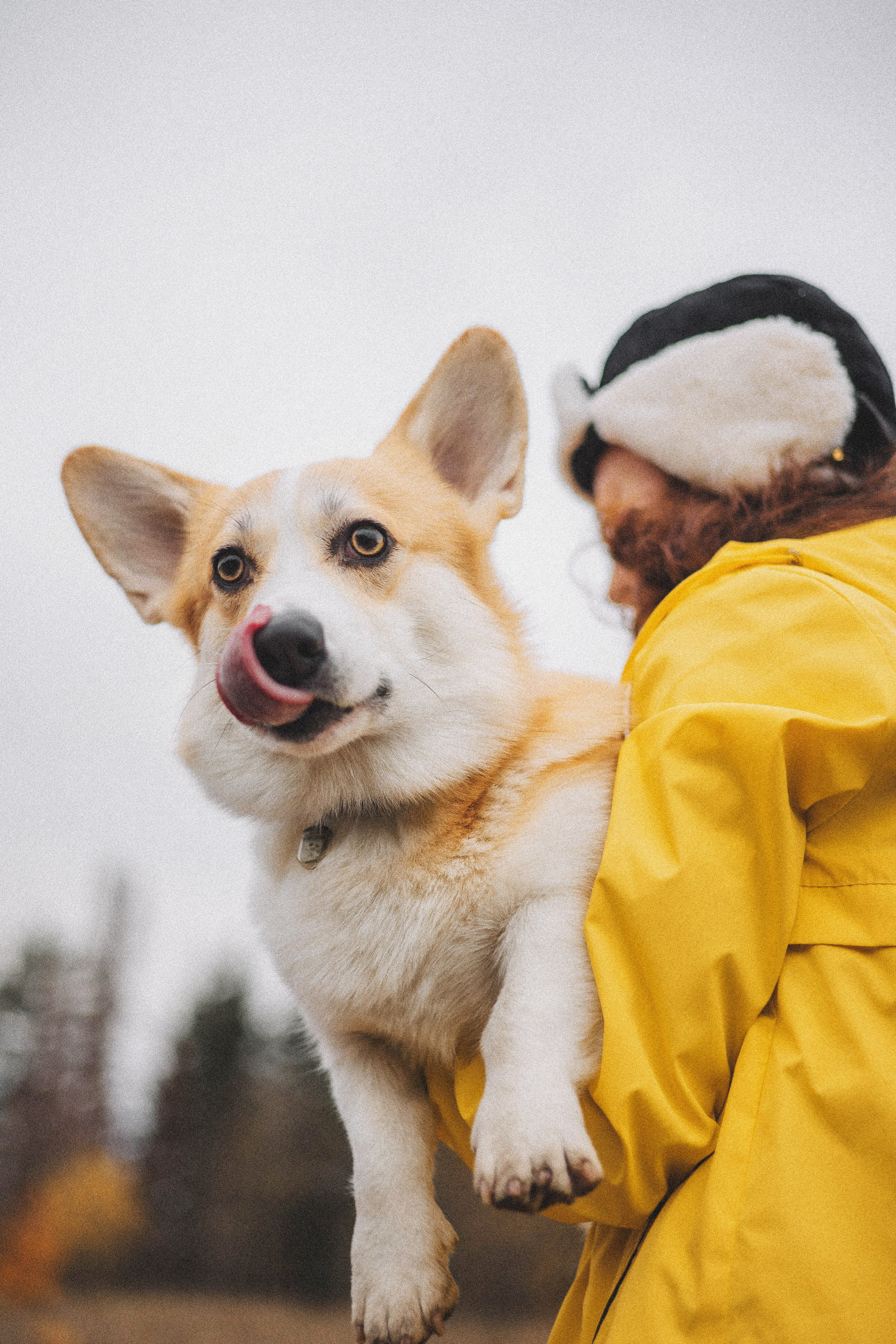 Юля и барри. Фотограф-анималист Богданова Полина