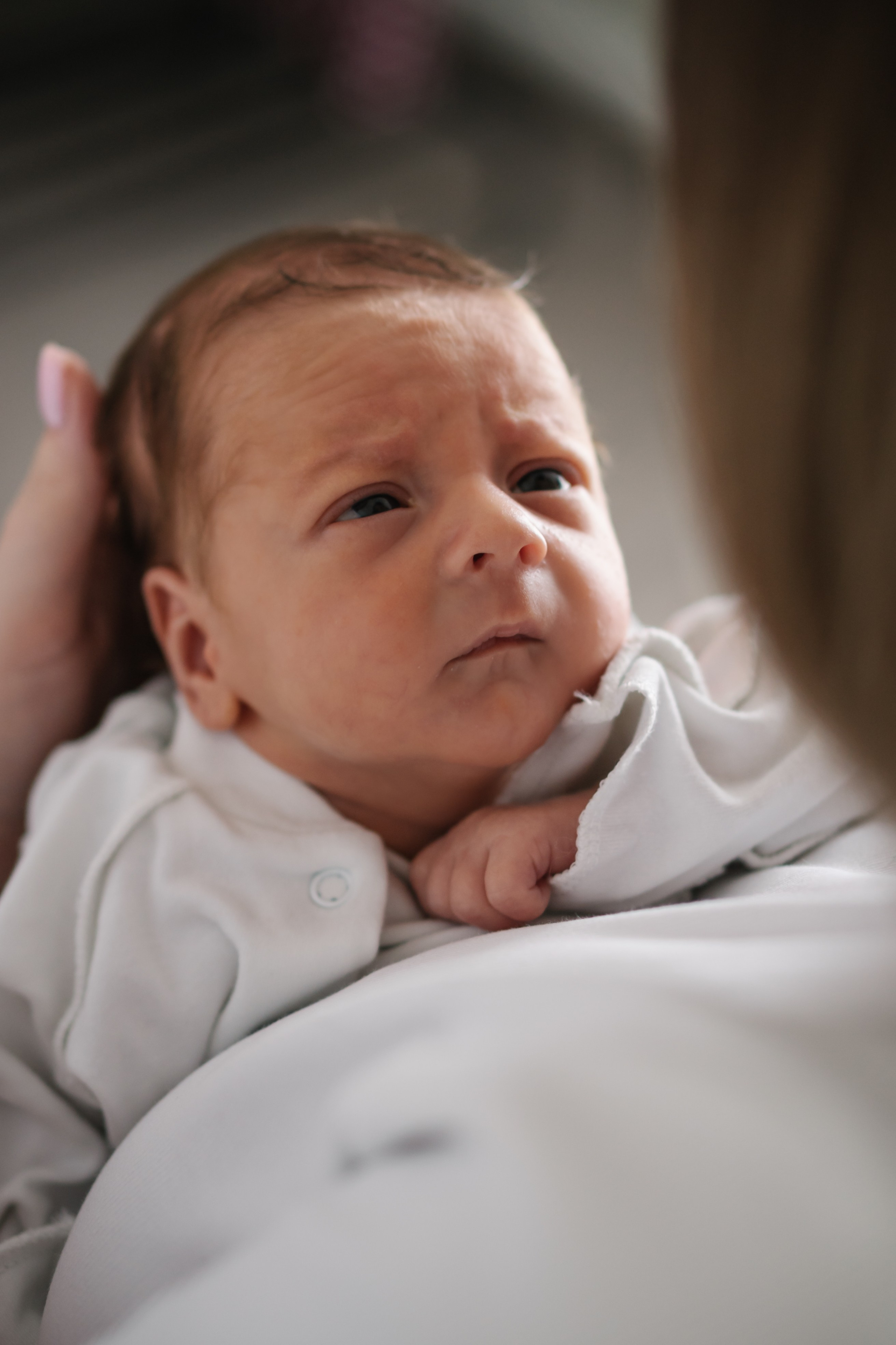 Петя с родителями, домашняя фотосессия. Фотограф Ольга Игорева