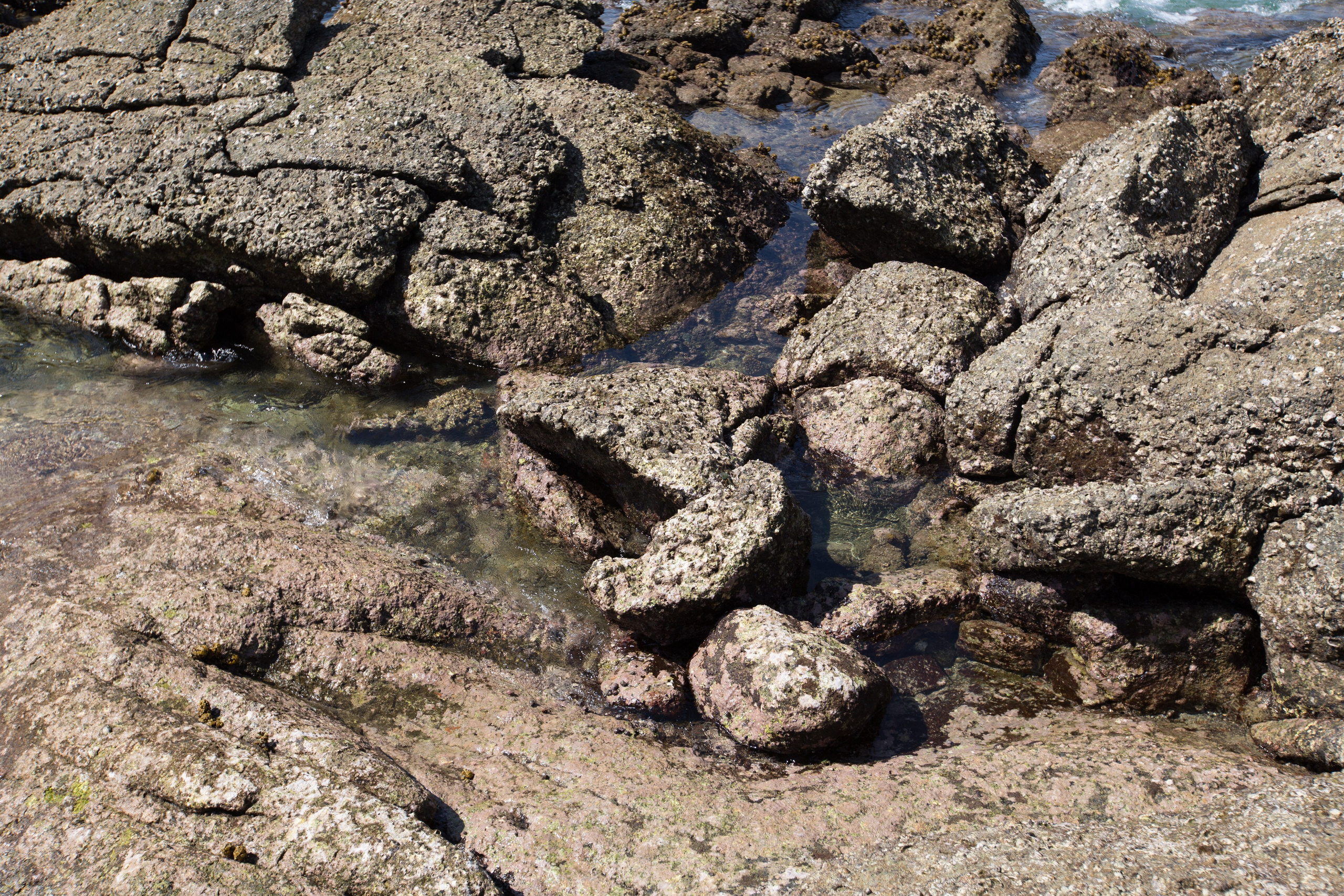 Фото Тайланда. Студия Максима Белослюдцева