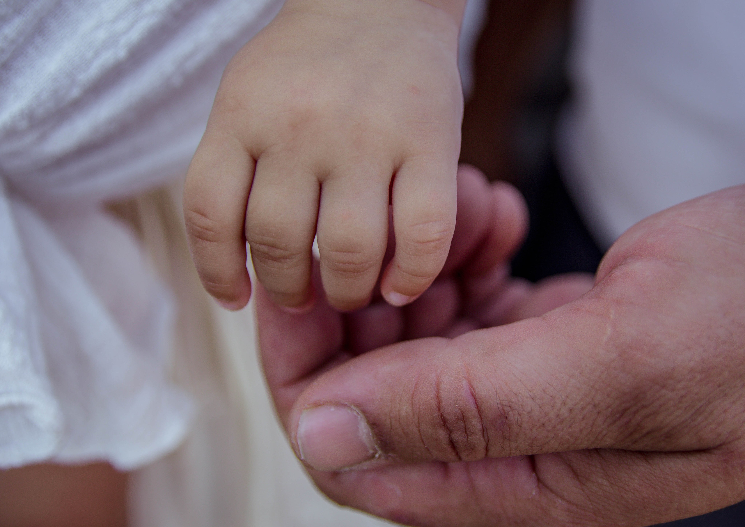 Фотографы. Организатор праздников. Ведущая Марина Гребенникова