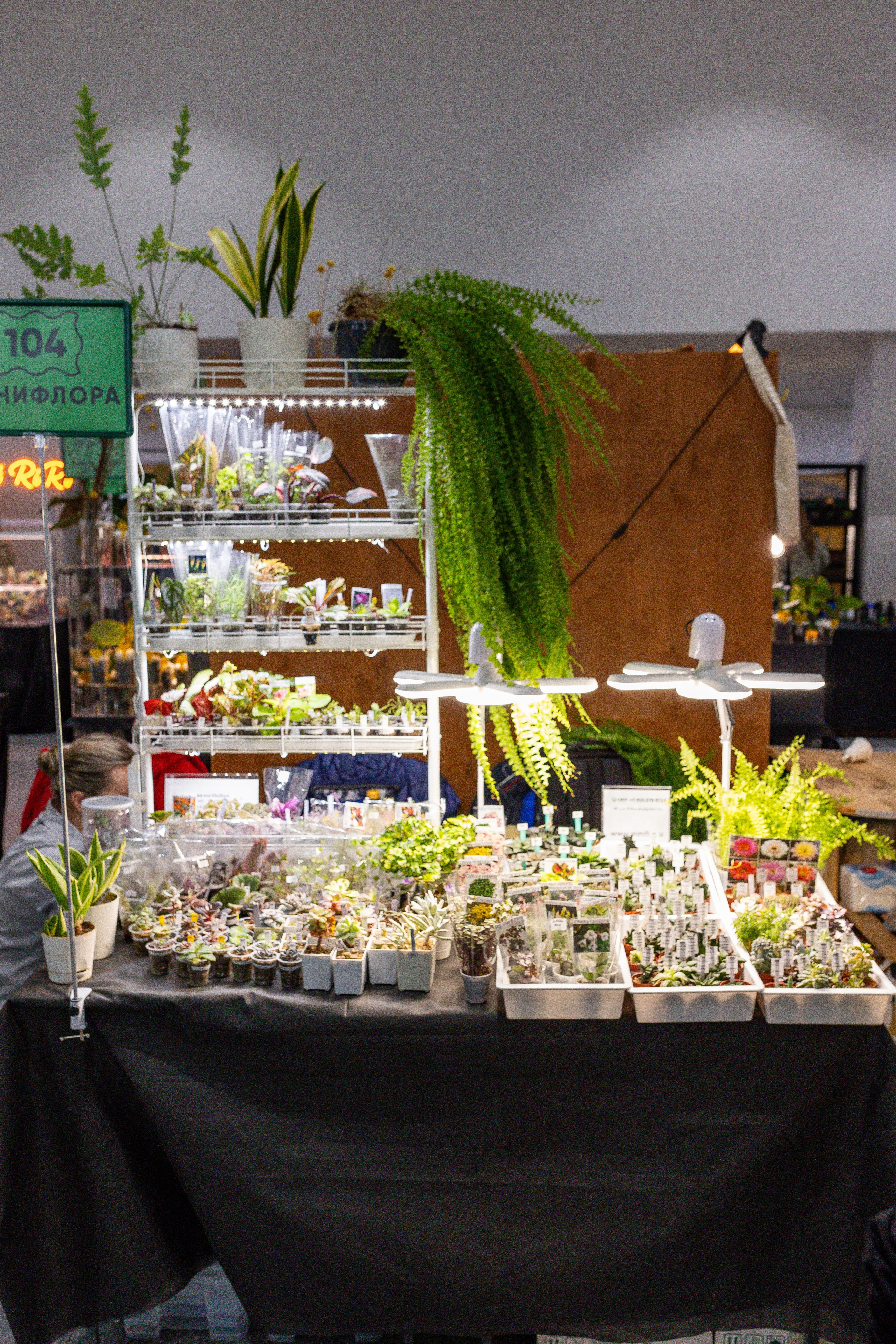 Монстериум апрель 2025. Александра Куликова фотограф, Москва