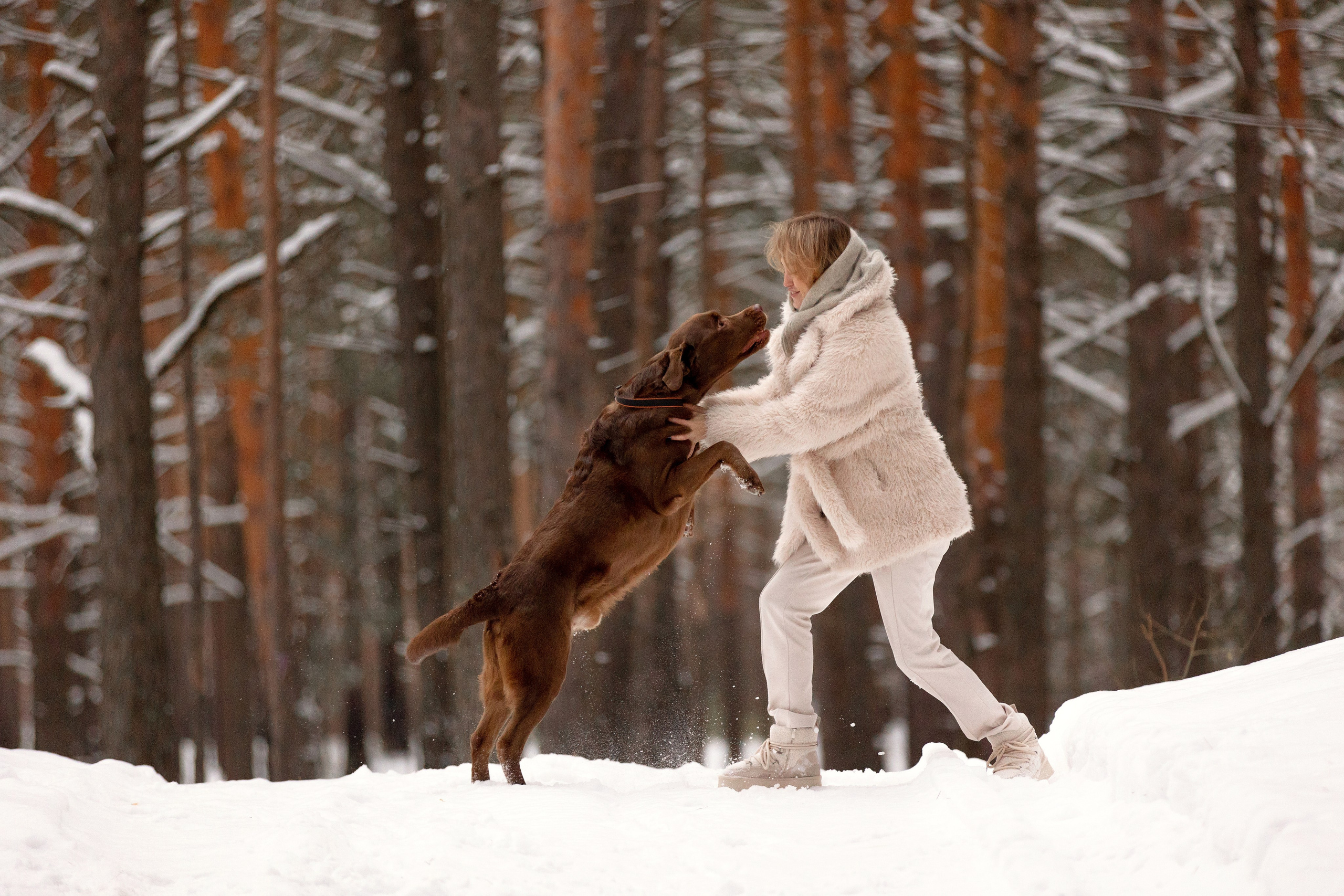 Фотосессии с собаками (для владельцев). Конный фотограф Валынкина Лера