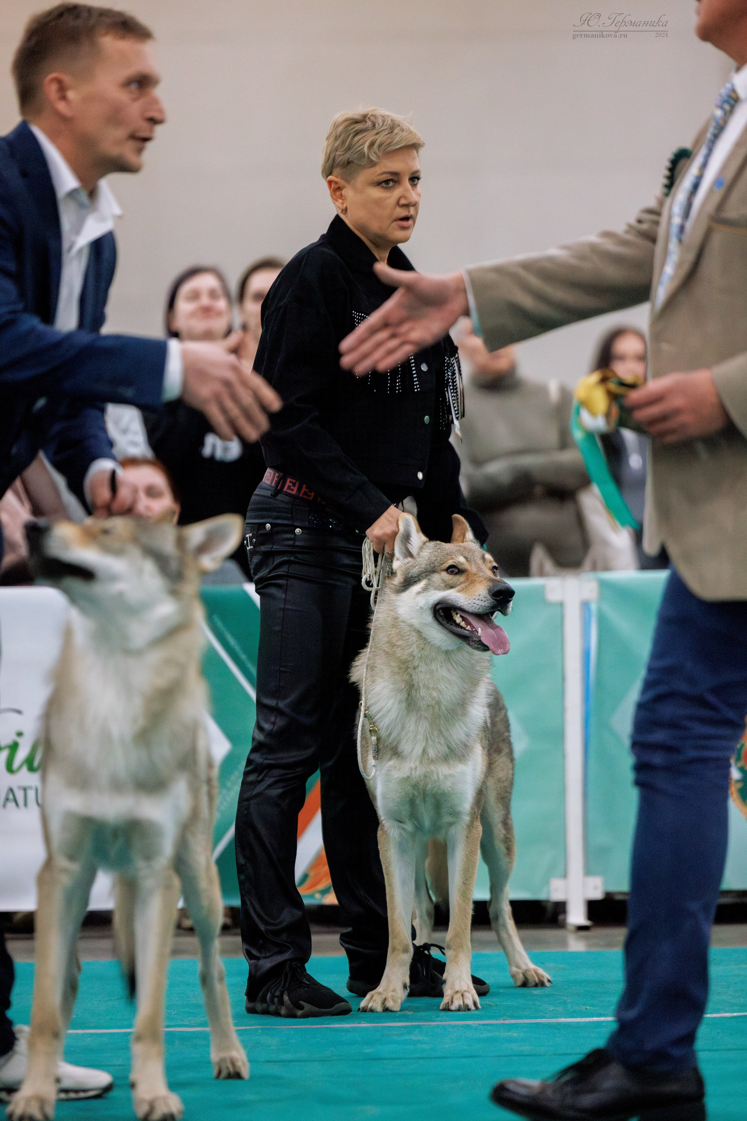 Евразия 16-17.11.2024. Фотограф-анималист Юлия Германика